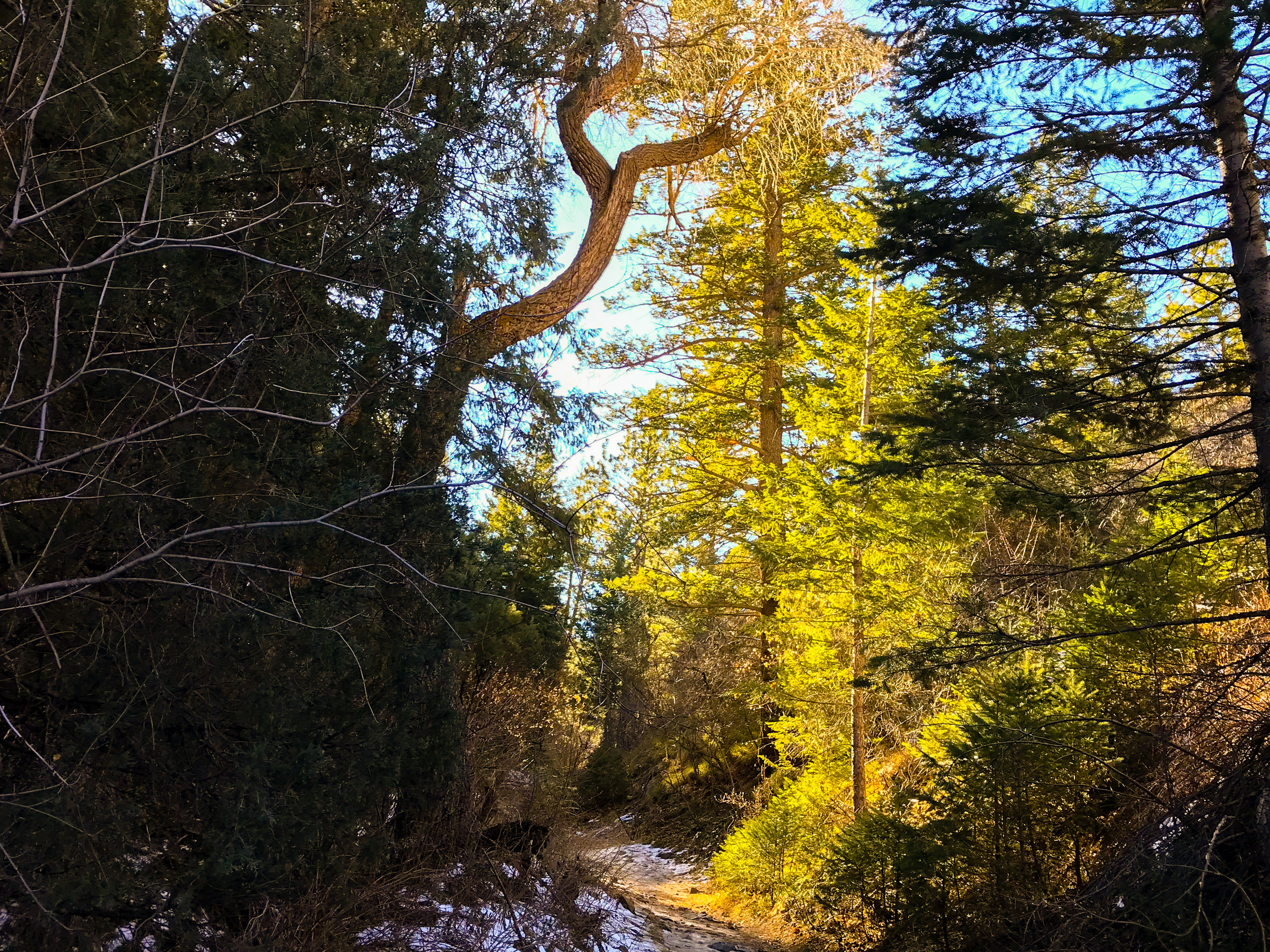 Deer Creek Canyon_Littleton-2.jpg