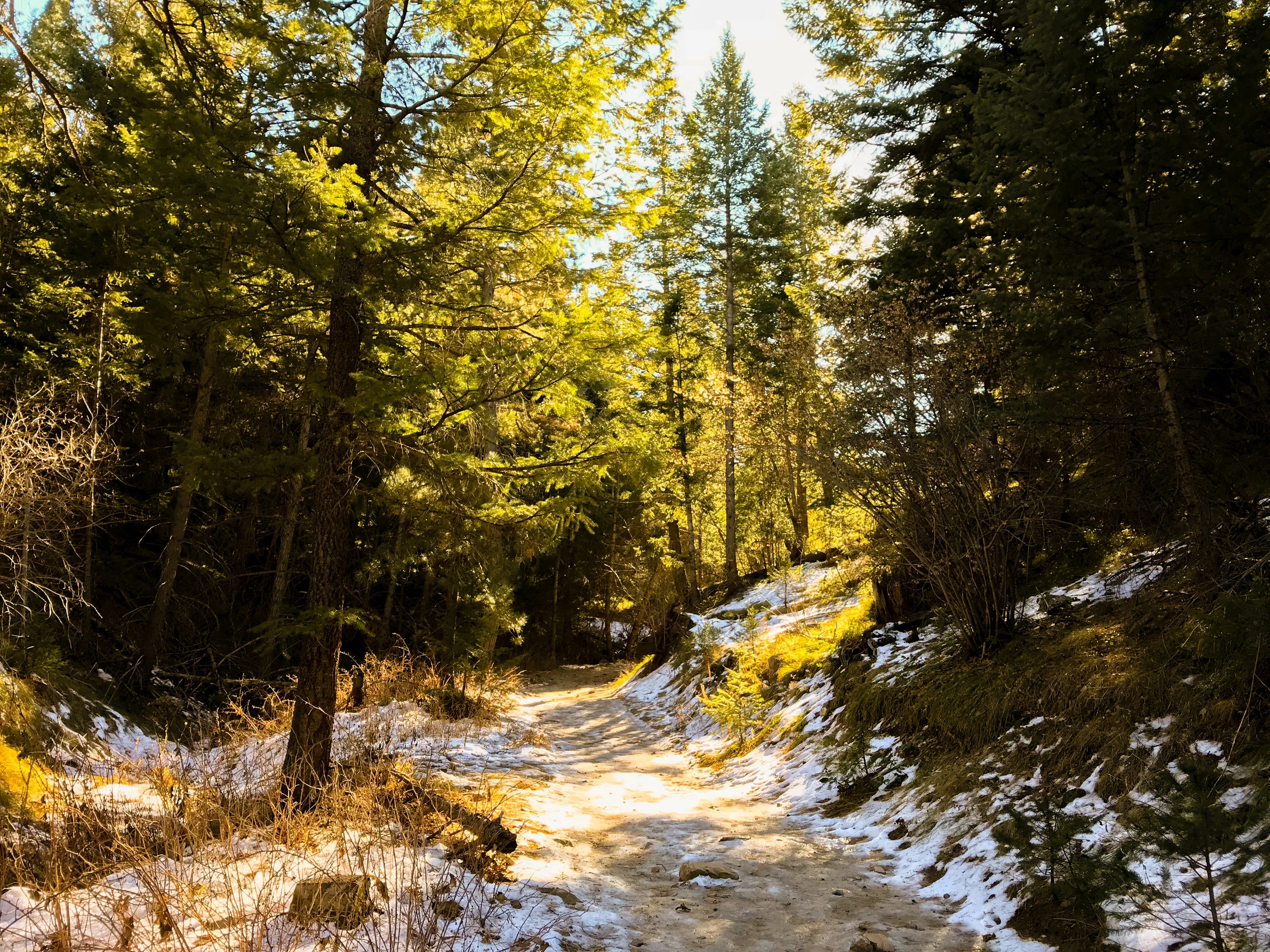 Deer Creek Canyon_Littleton-3.jpg