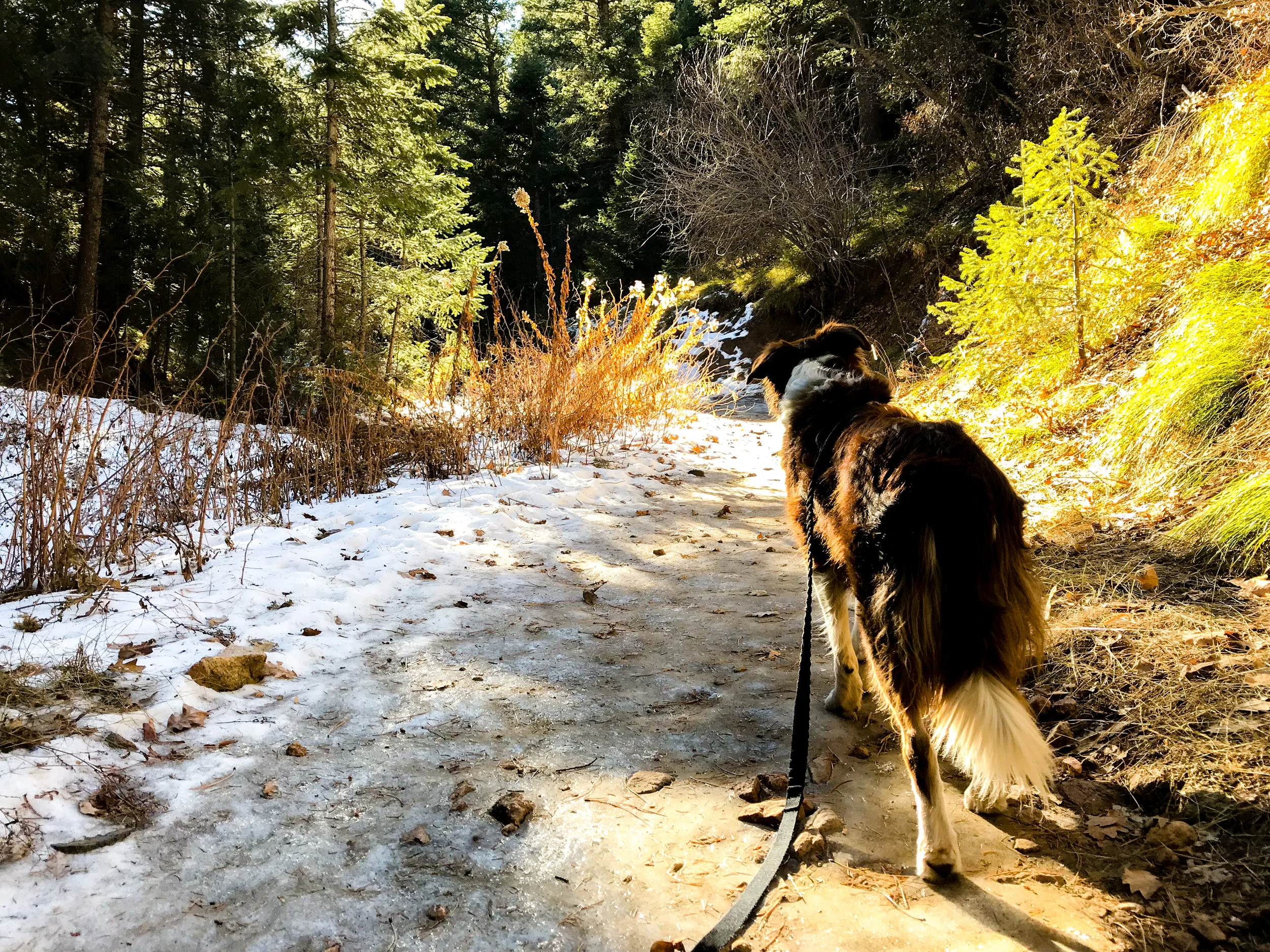 Deer Creek Canyon_Littleton-5.jpg