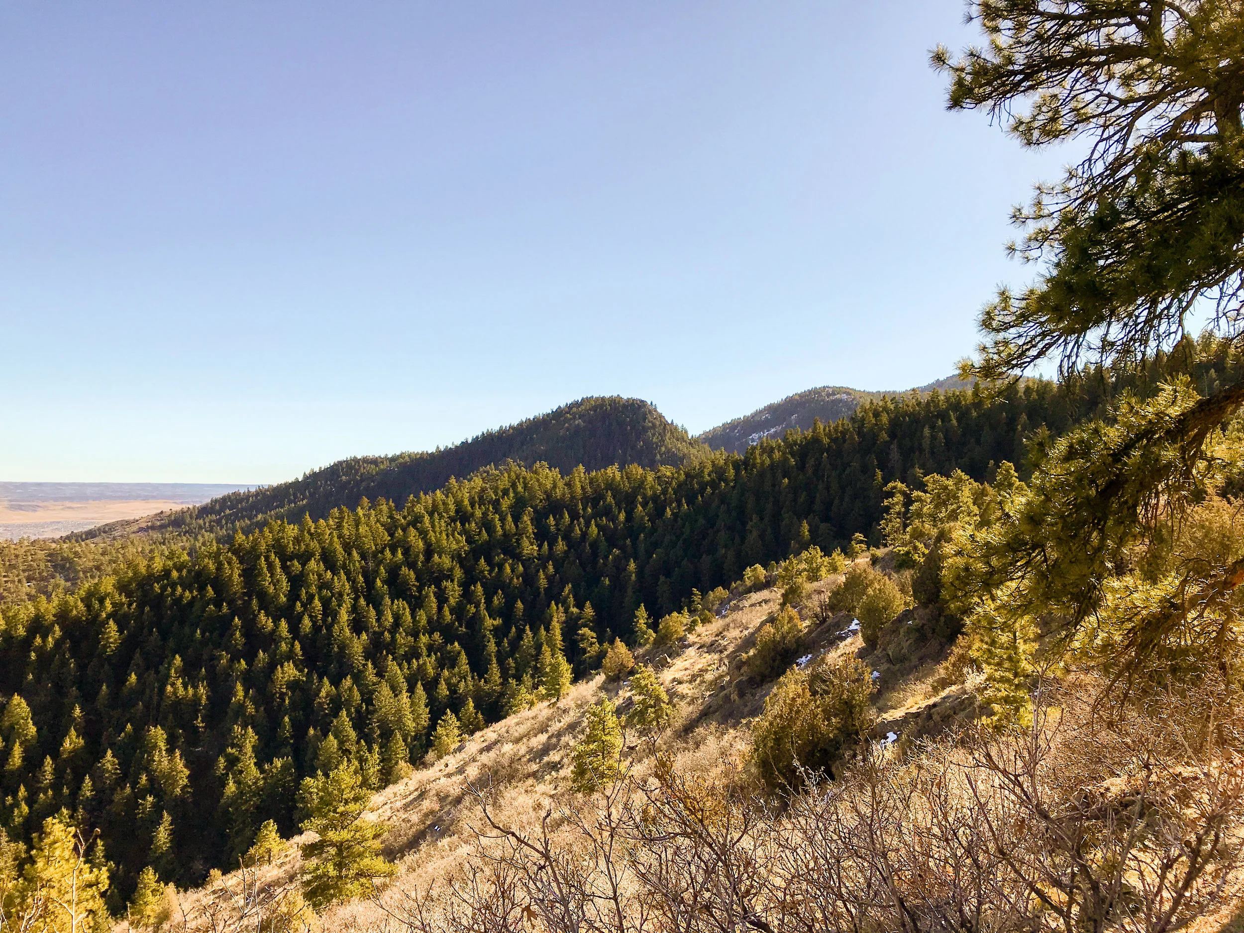 Deer Creek Canyon_Littleton-7.jpg