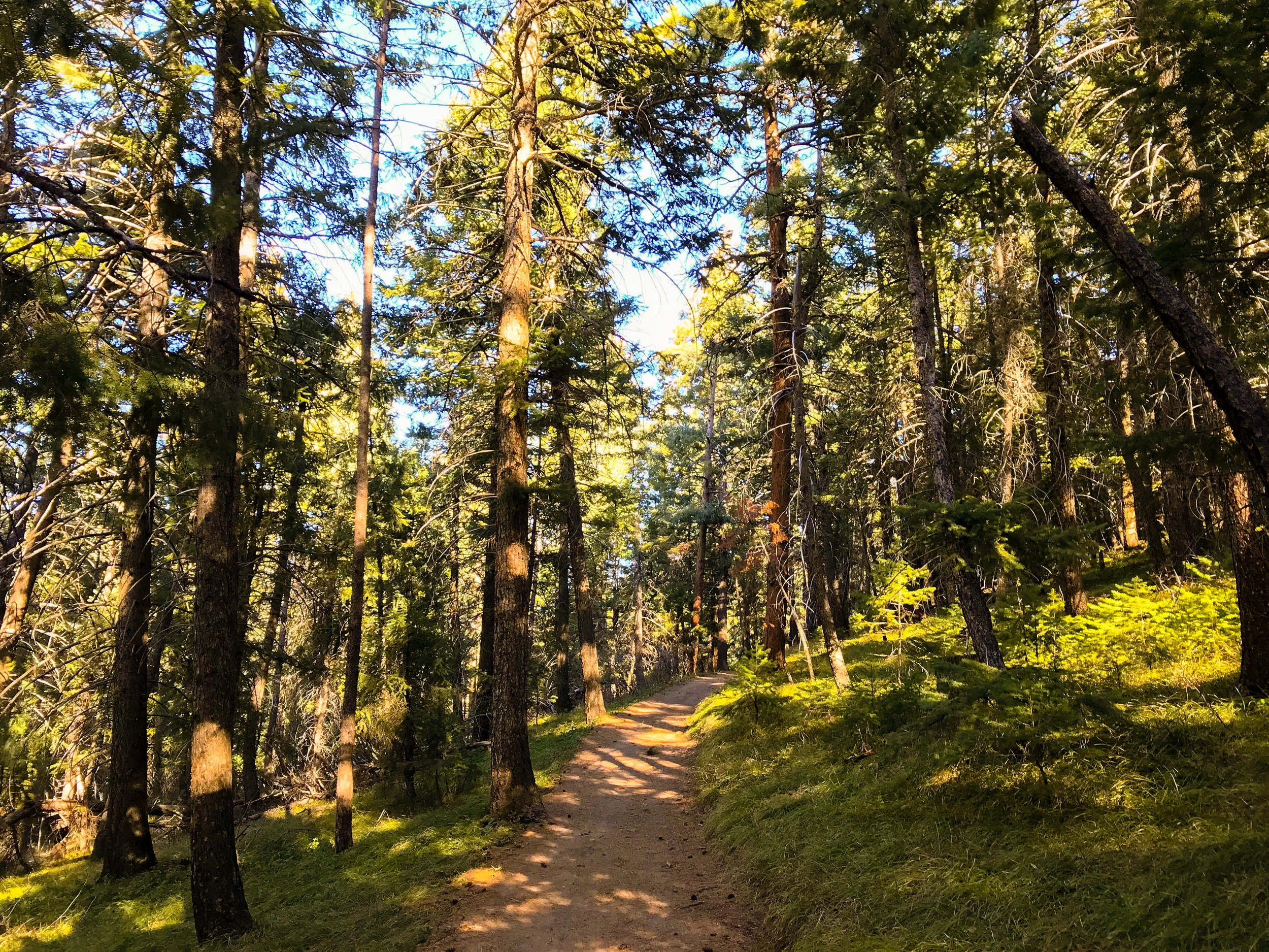 Deer Creek Canyon_Littleton-10.jpg