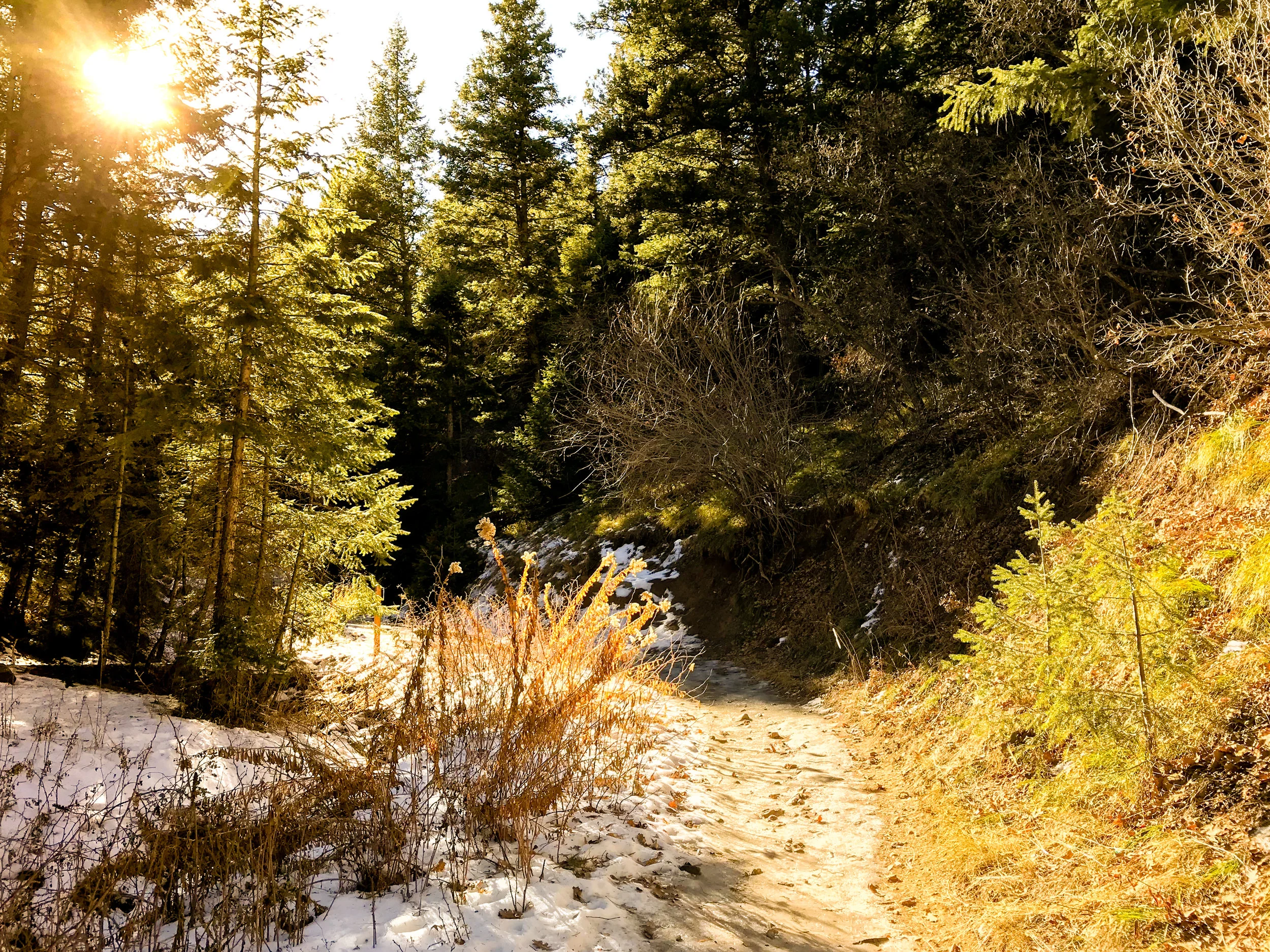 Deer Creek Canyon_Littleton-9.jpg