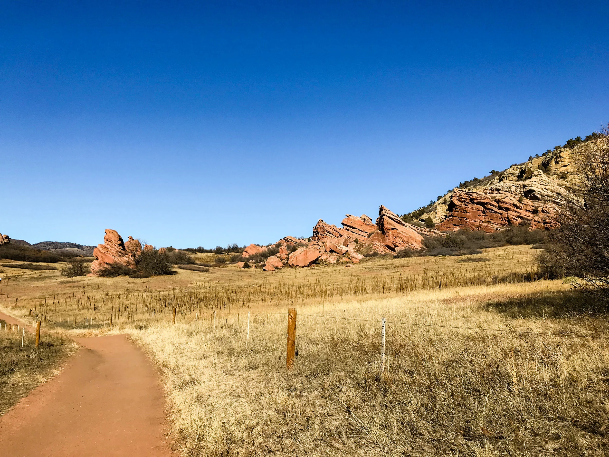 South Valley Park_Littleton-3.jpg