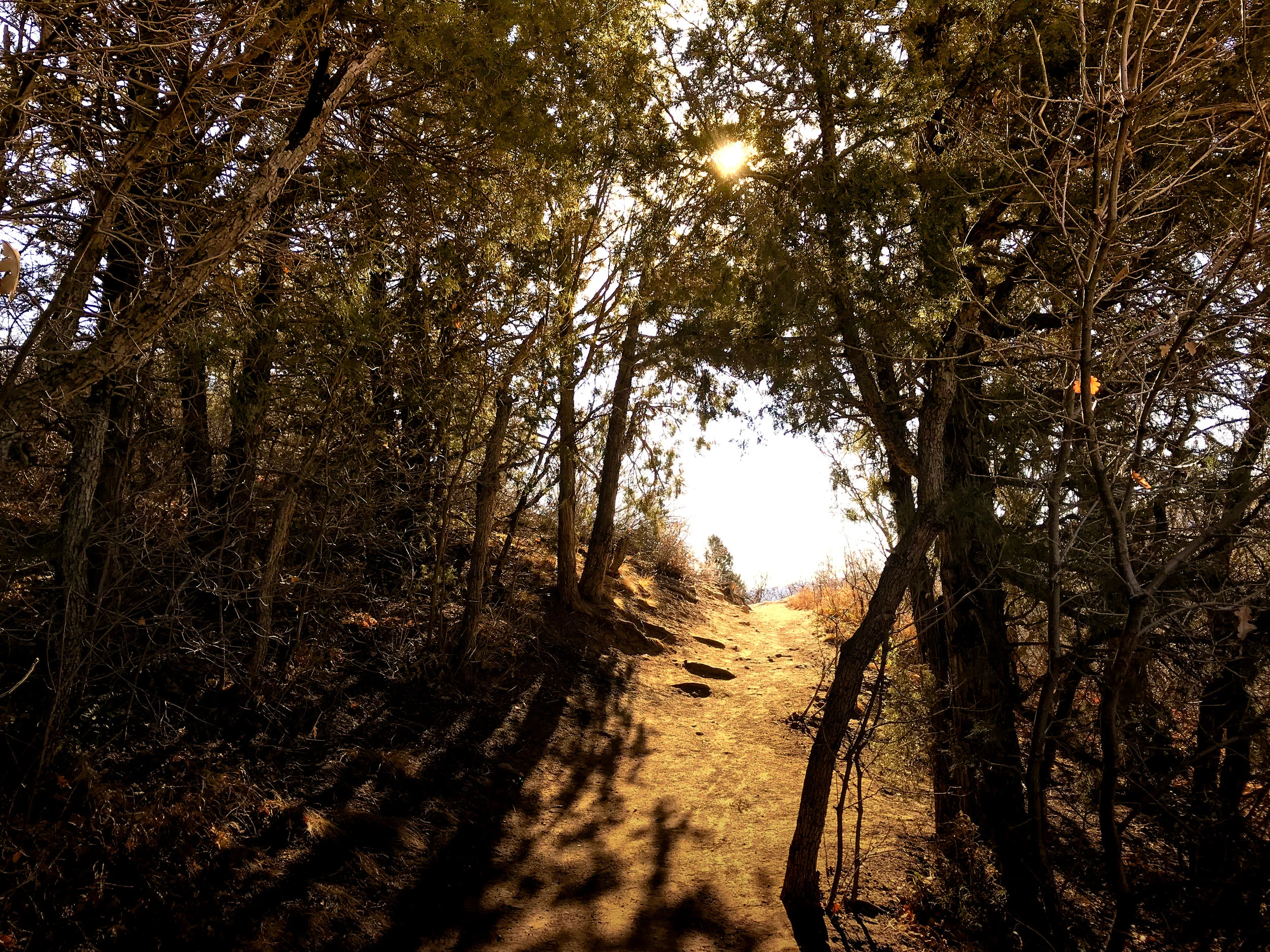 South Valley Park_Littleton-2.jpg