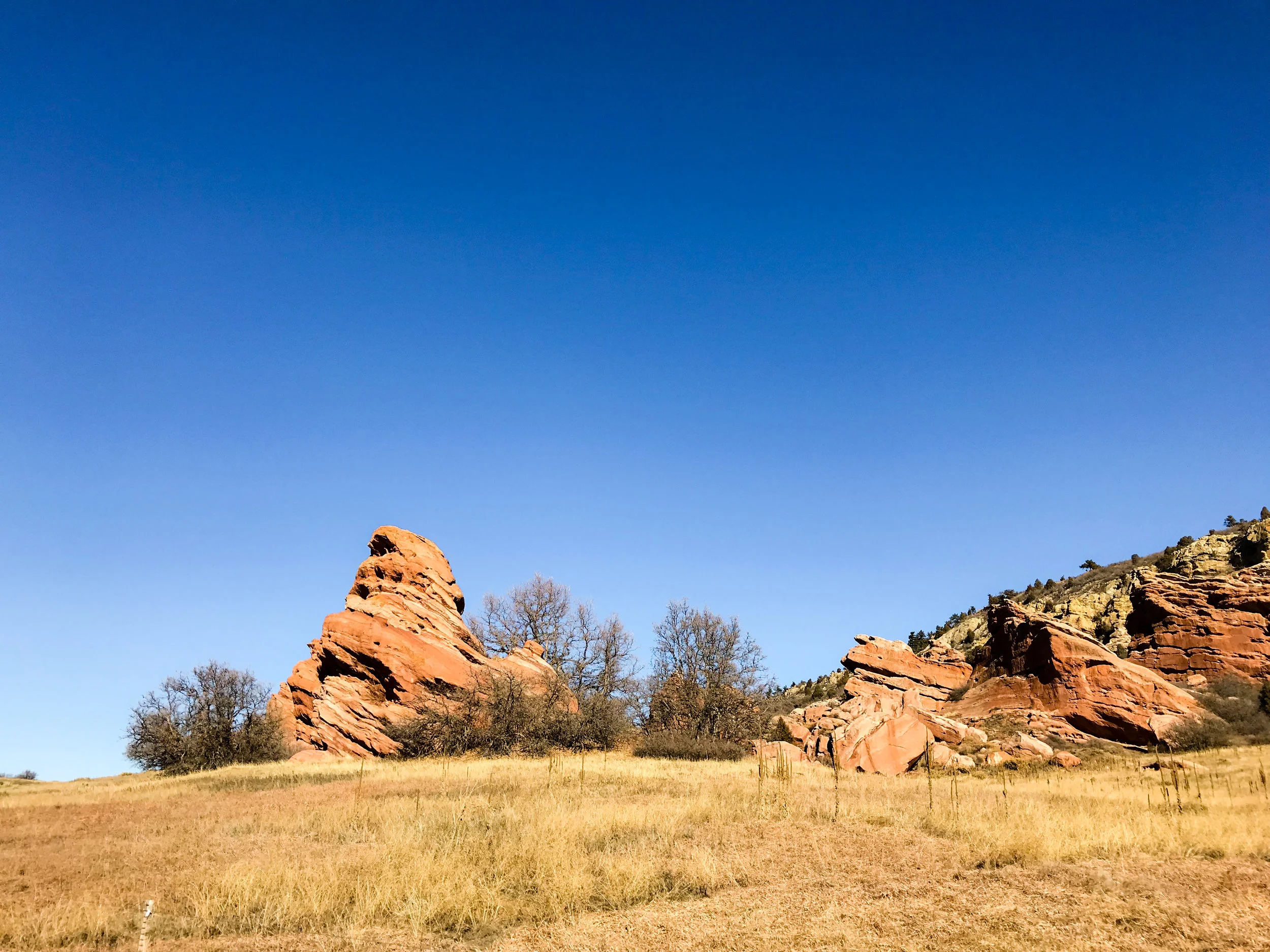 South Valley Park_Littleton-4.jpg