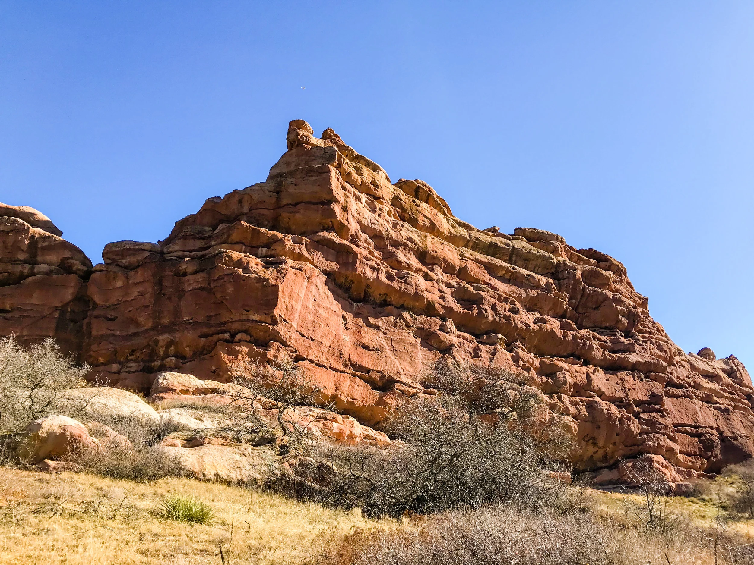 South Valley Park_Littleton-5.jpg