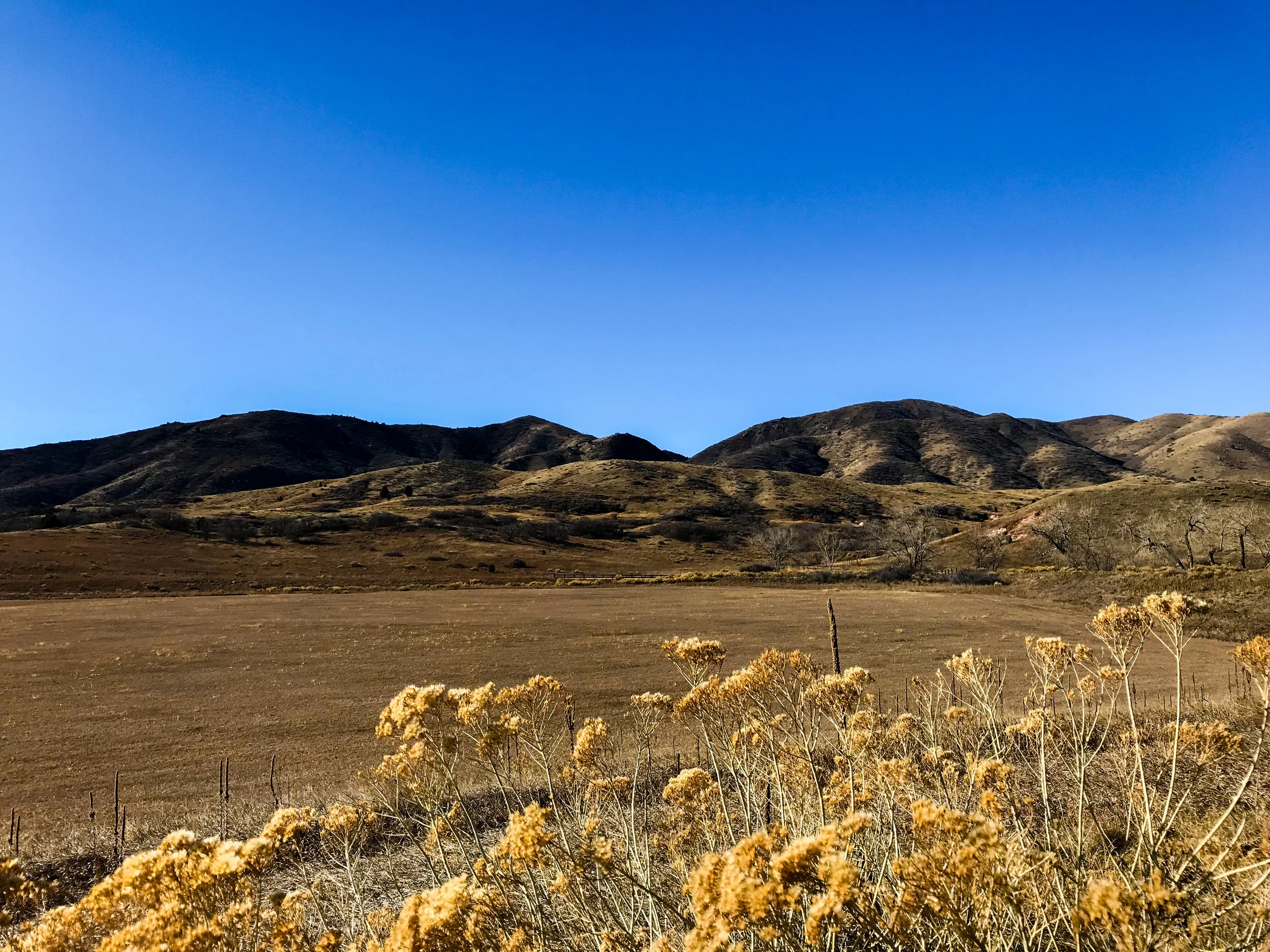 South Valley Park_Littleton-7.jpg