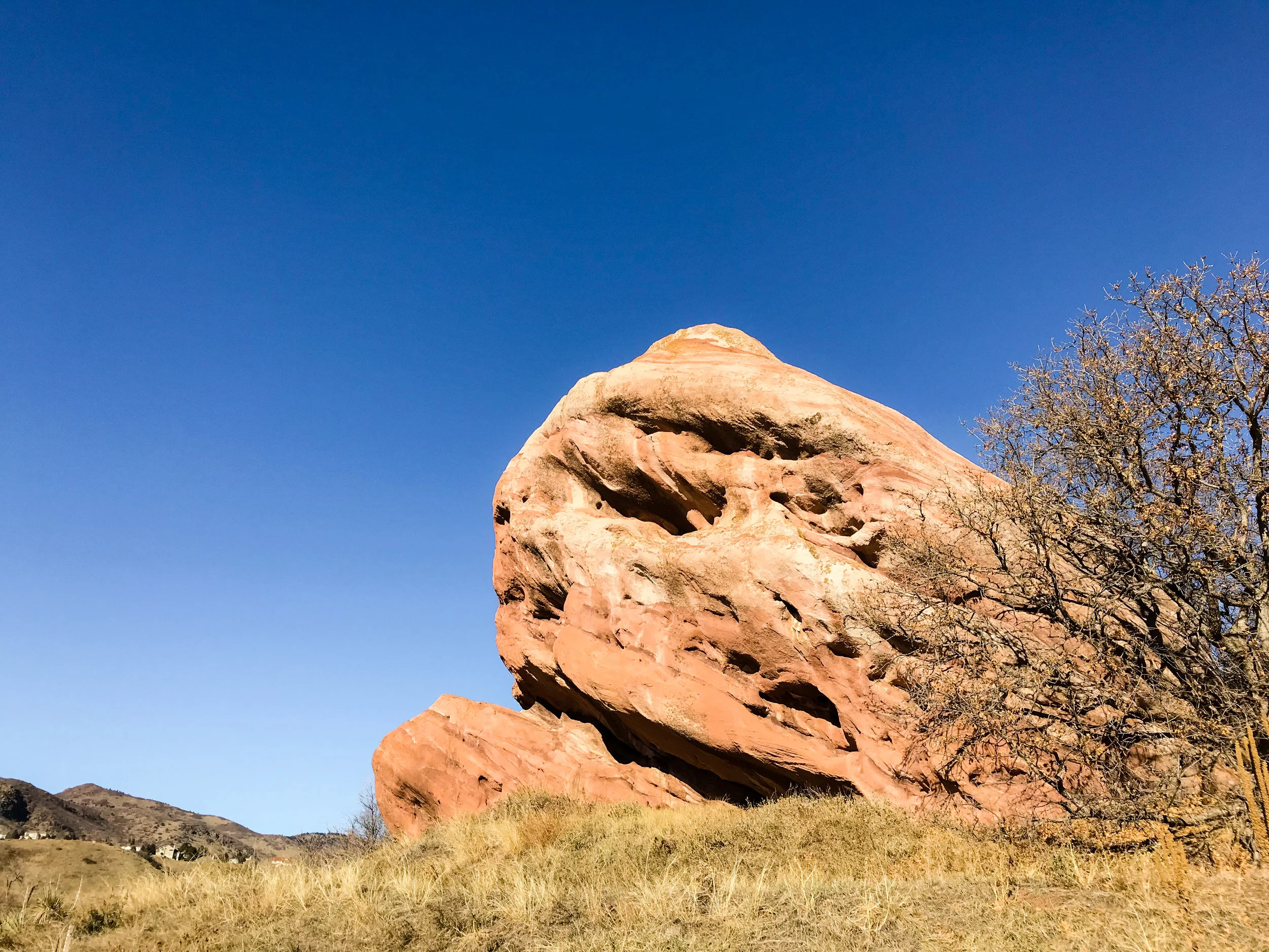 South Valley Park_Littleton-8.jpg