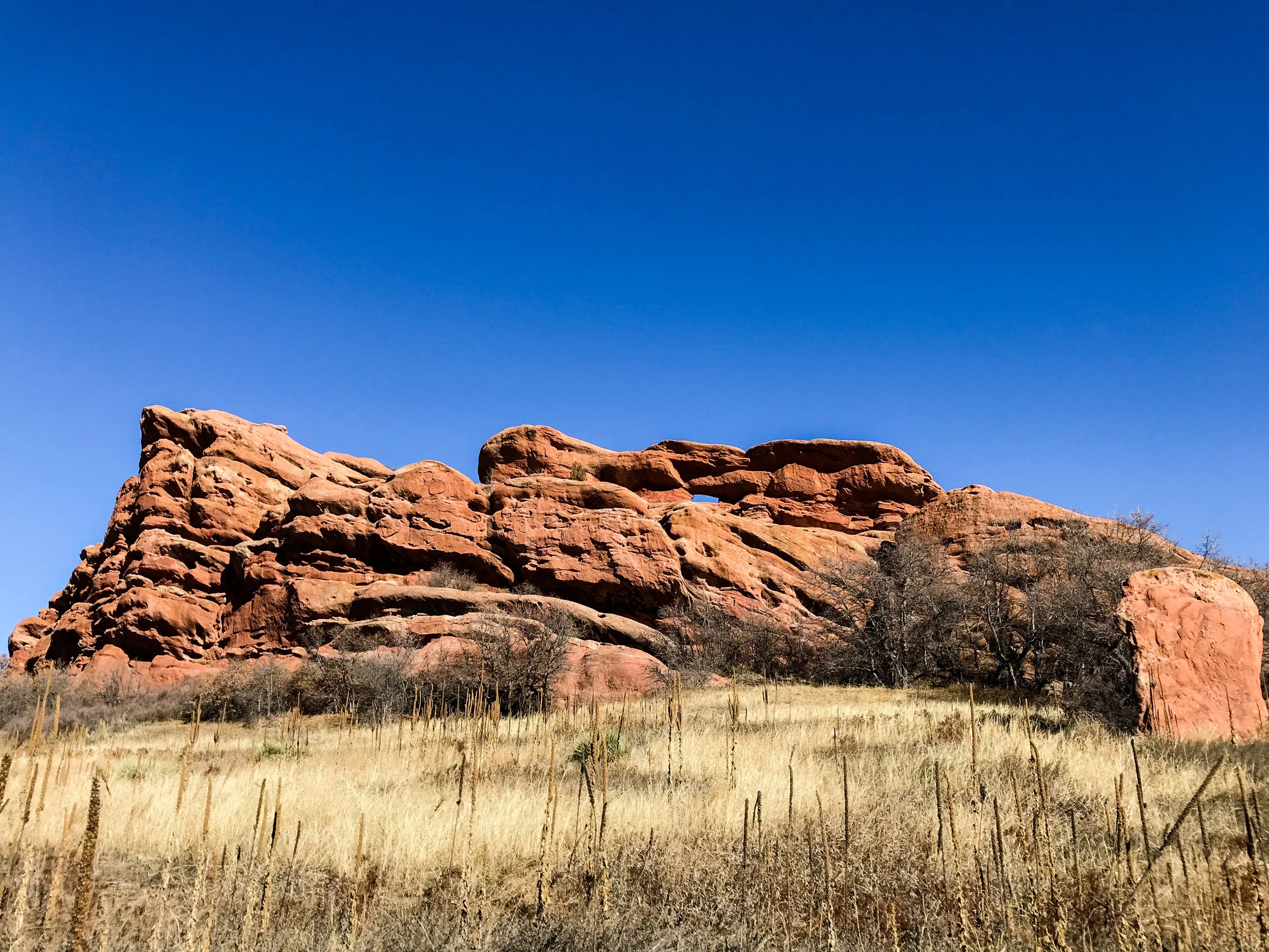 South Valley Park_Littleton-9.jpg