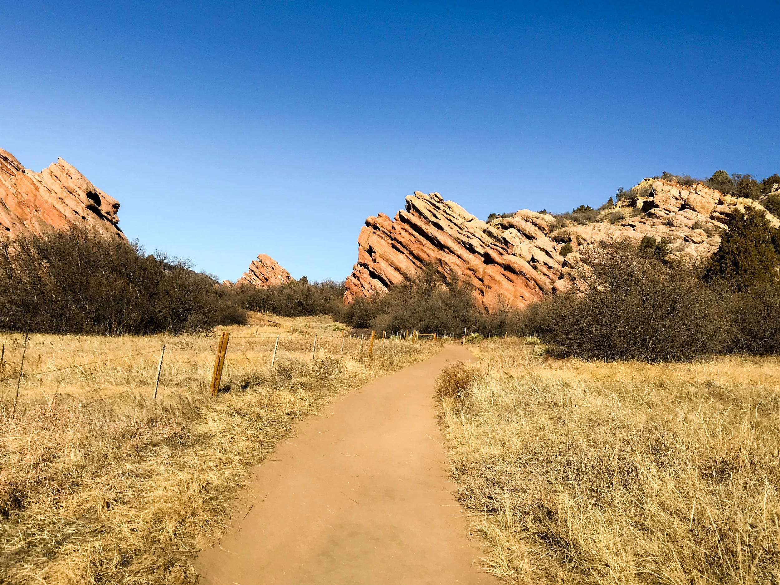 South Valley Park_Littleton.jpg