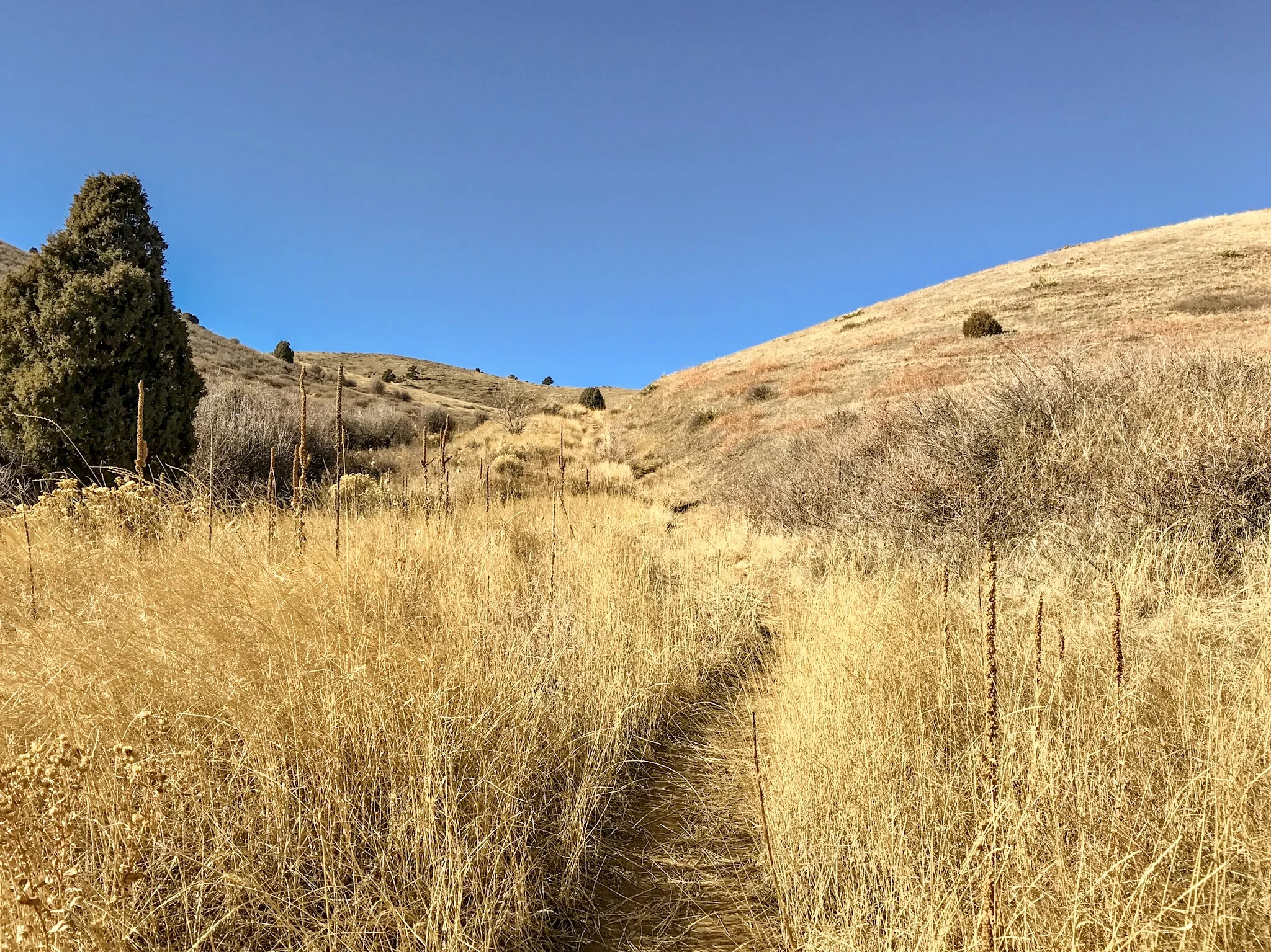 Winters Matthews Park_8147.jpg