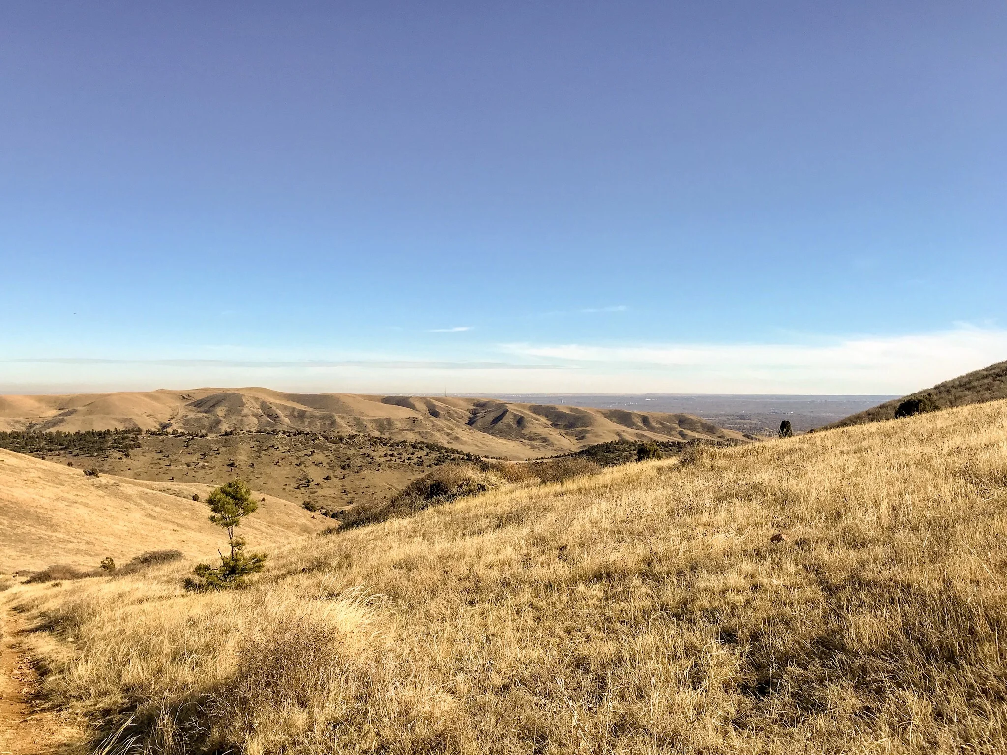 Winters Matthews Park_8183.jpg