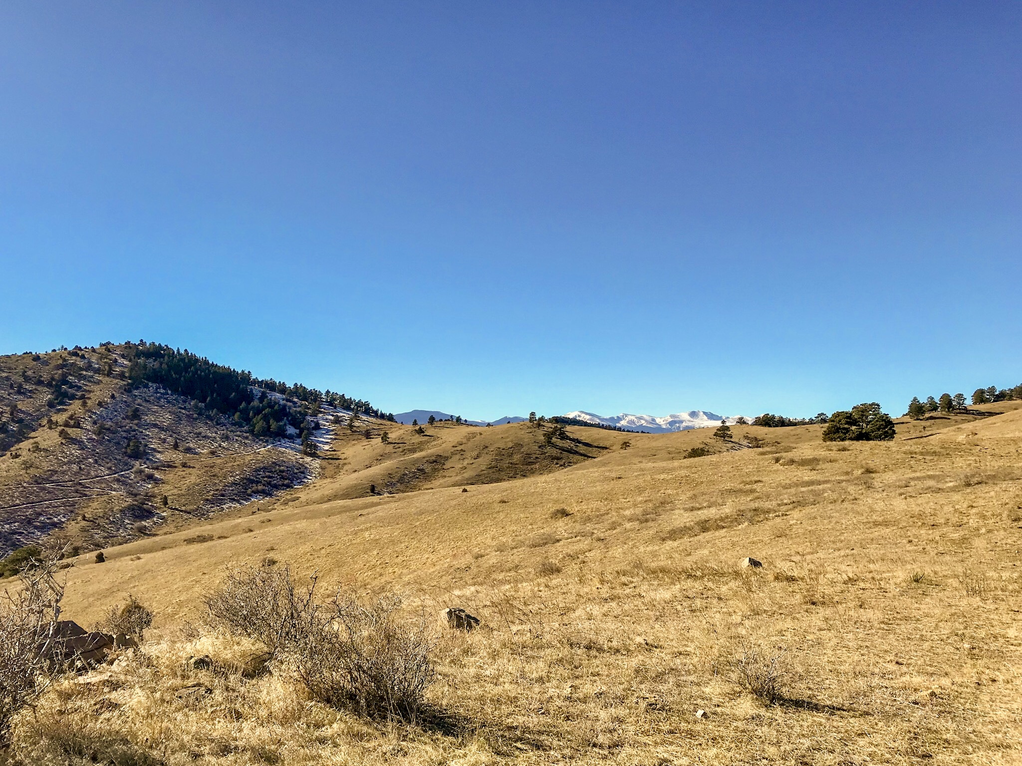 Winters Matthews Park_8169.jpg