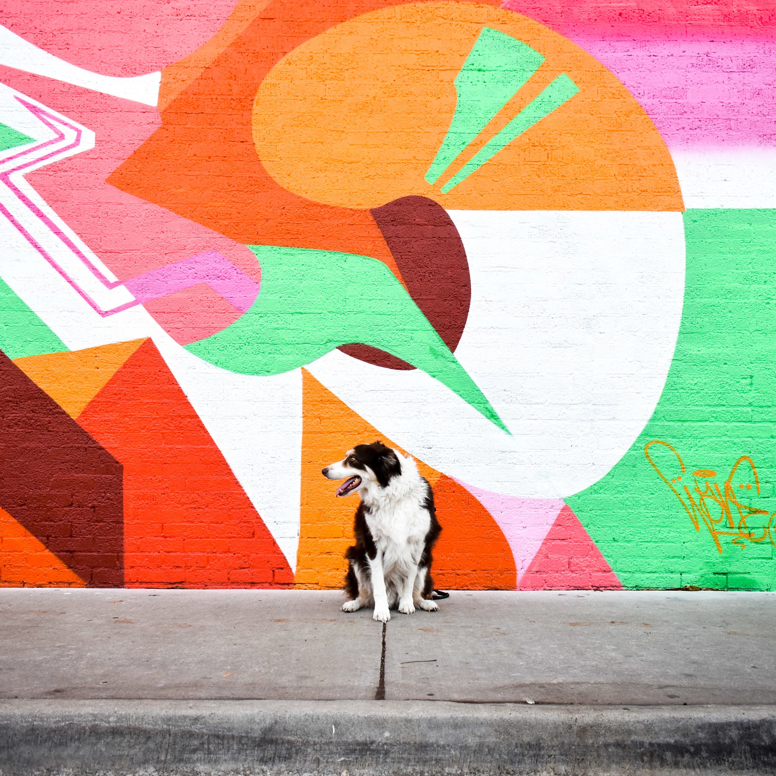 ohso_okc_plaza walls 2018_Artist Waneonecod.jpg