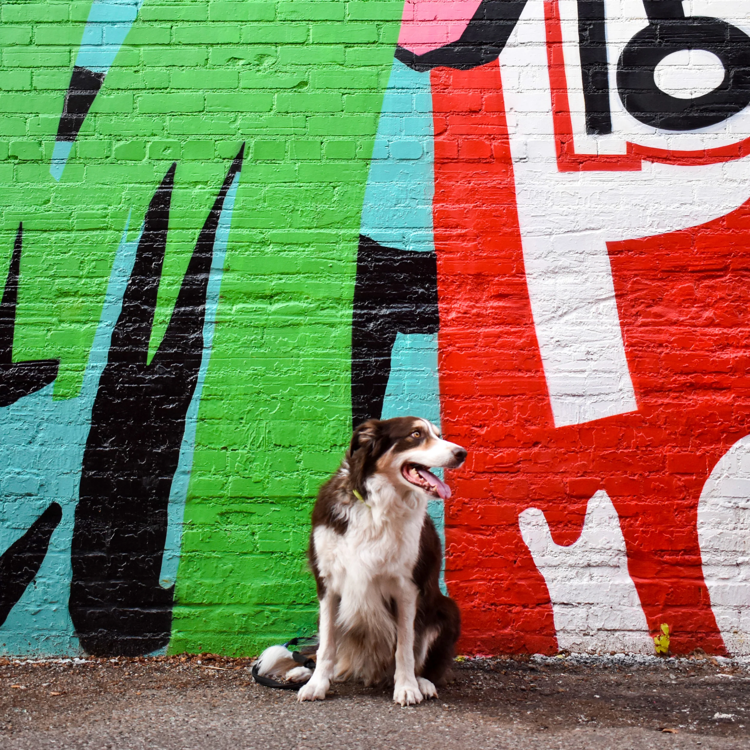 Ohso_OKC_Plaza walls colorful abstract_Artist Aaron Whisner.jpg