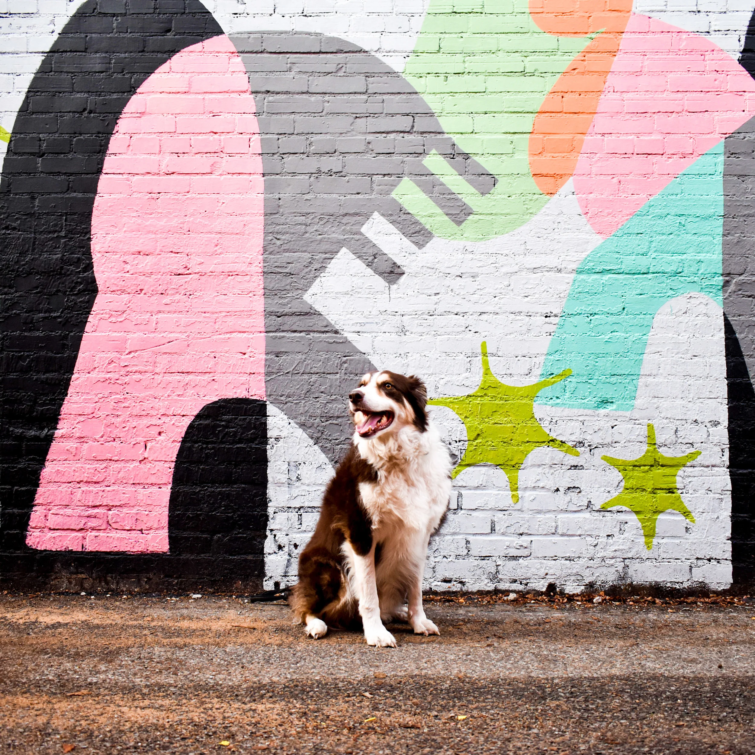 Ohso_OKC_Plaza walls colorful abstract_Artist Holey Kids.jpg