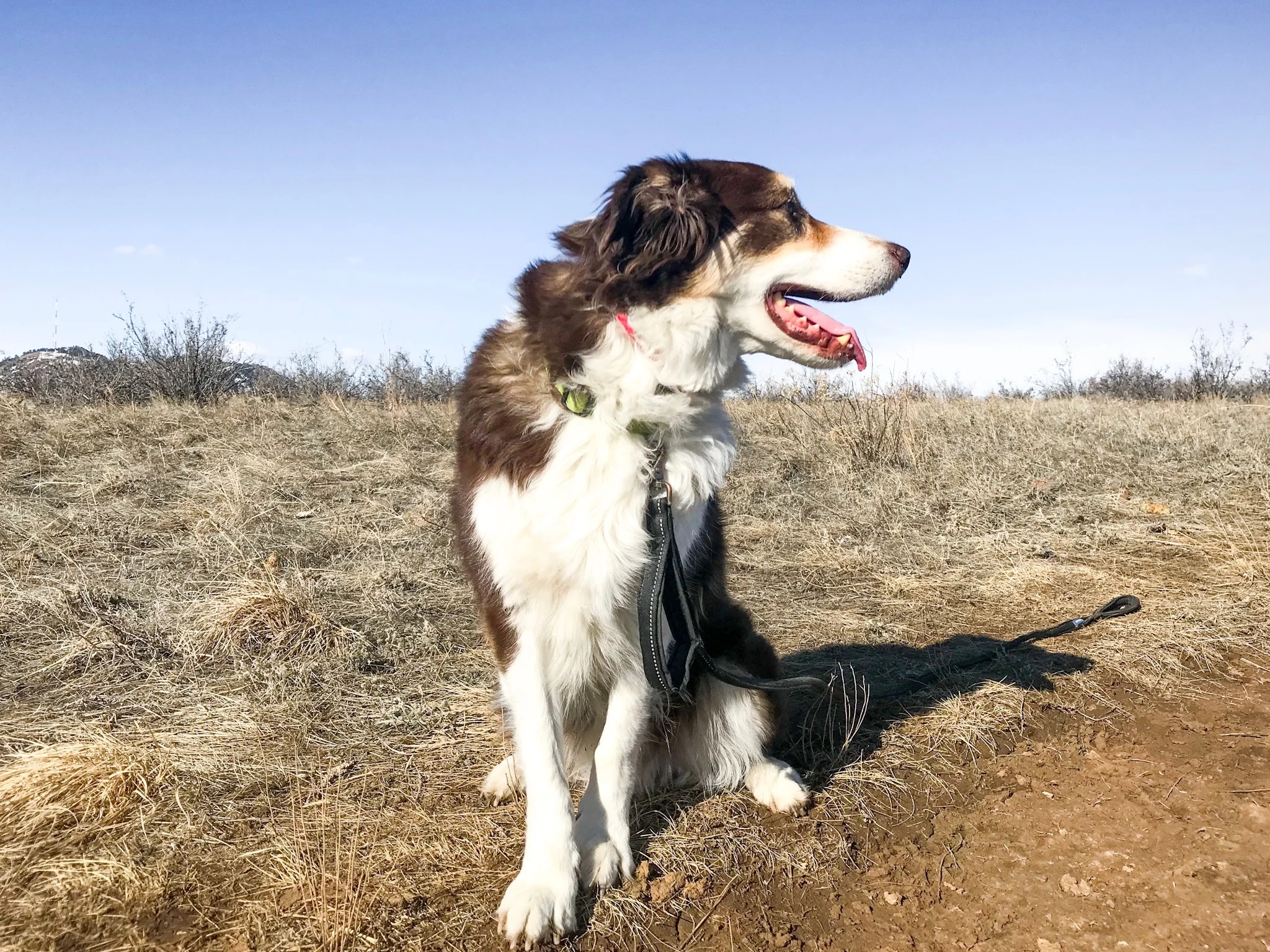 Ohso_S Table Mtn Park.jpeg