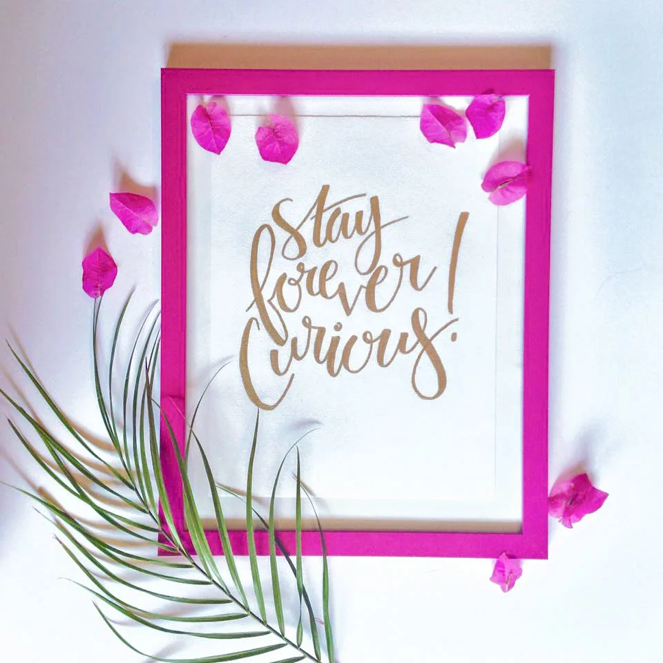 stay forever curious.jpg