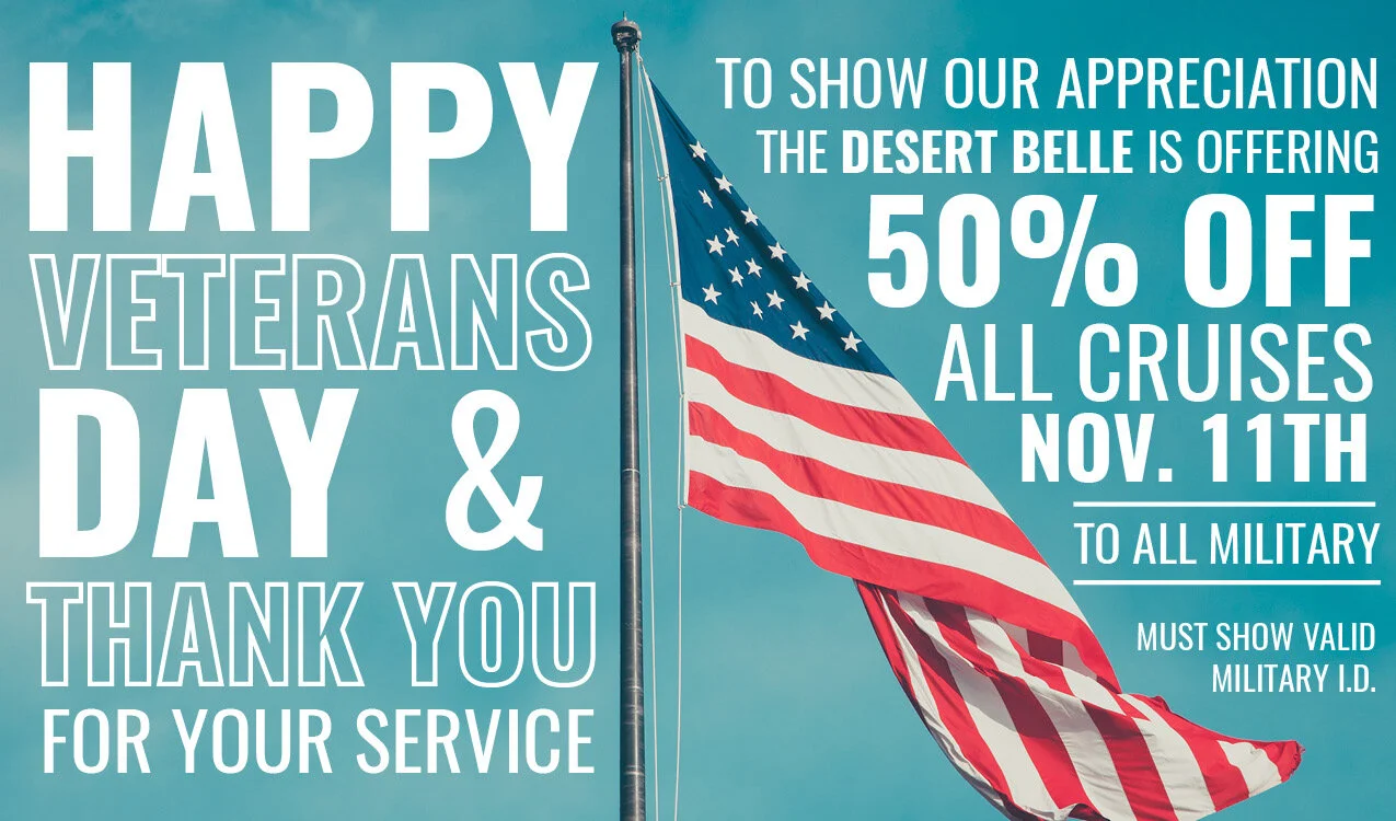 Veterans Day 50% Off.jpg