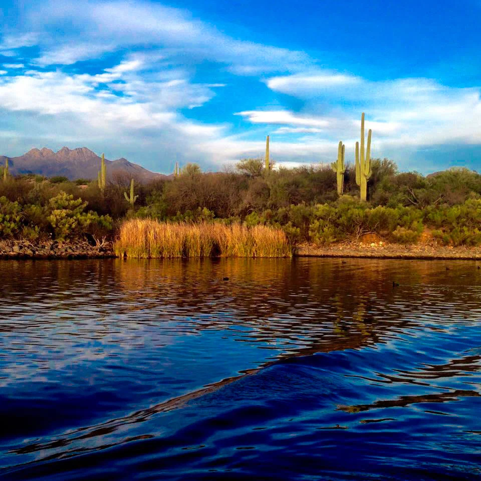 Saguaro Lake.jpg