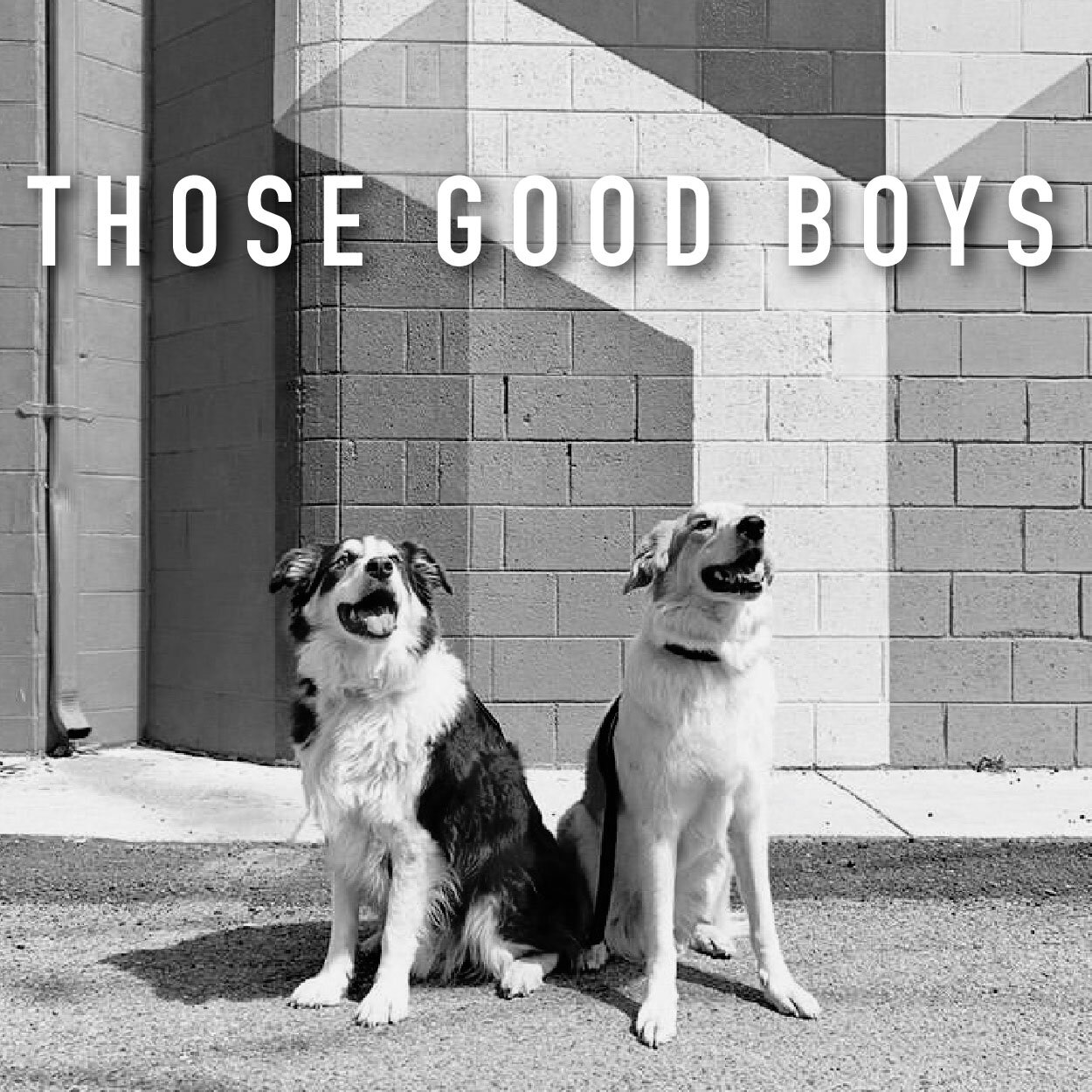 those good boys-01.jpg