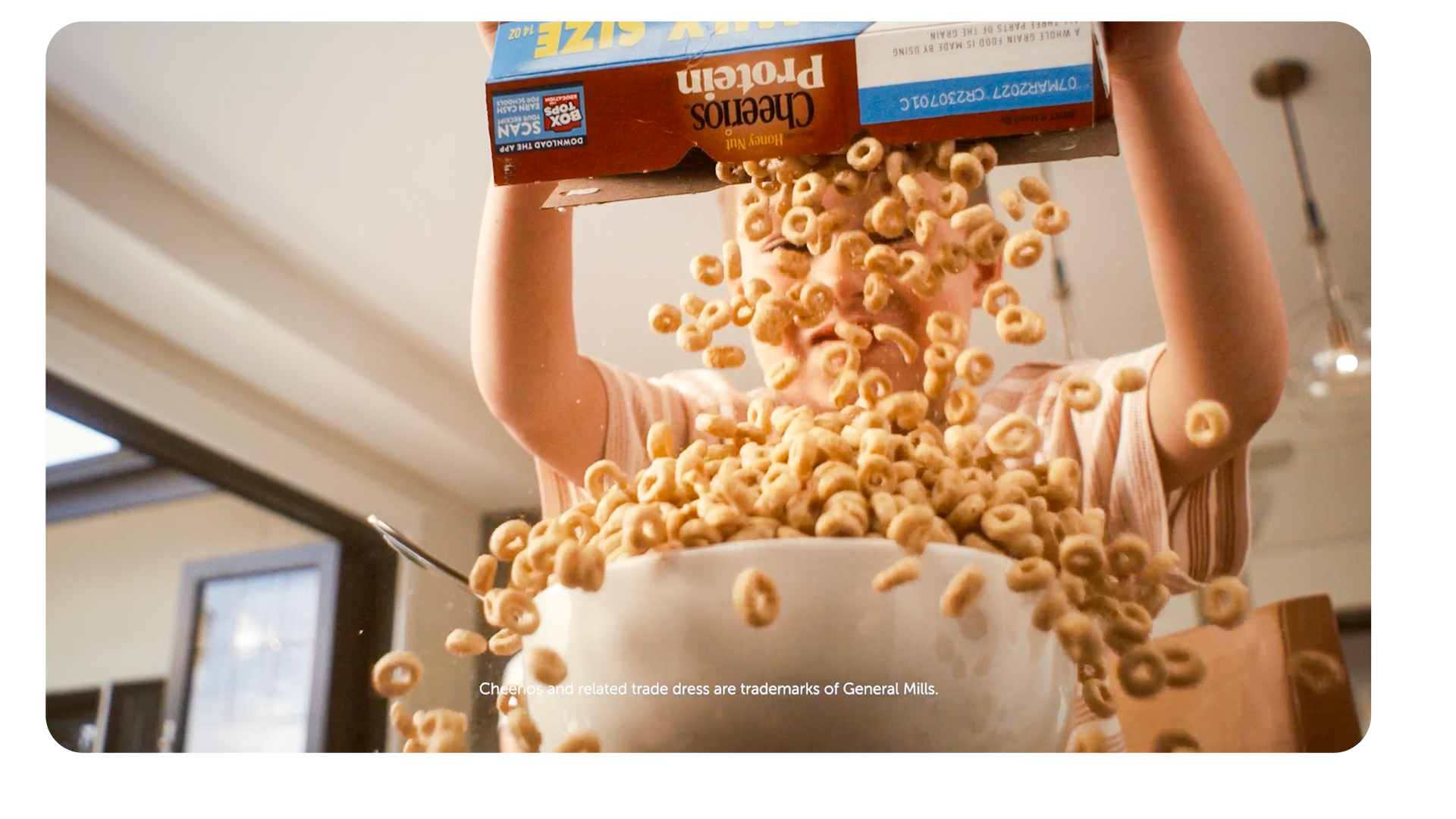 COMMERCIAL :: FAMILY DOG