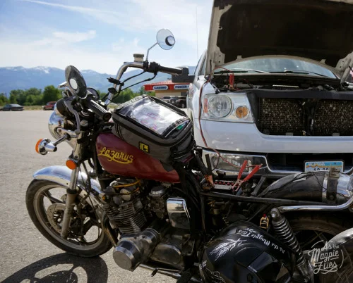 Brother to the rescue, at Woodside, Montana