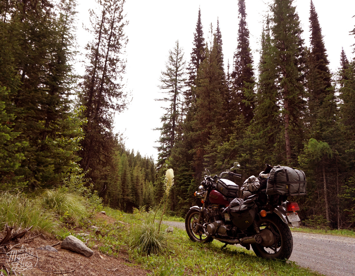 Forest Service Road 763, Olney, MT