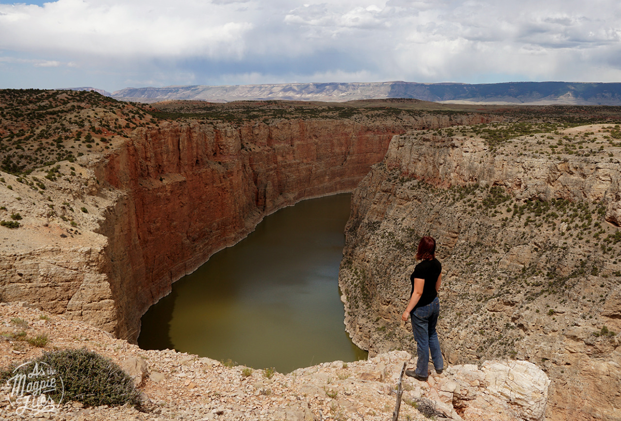 Devil's Canyon Overlook, Bighorn Canyon National Recreation Area, MT/WY