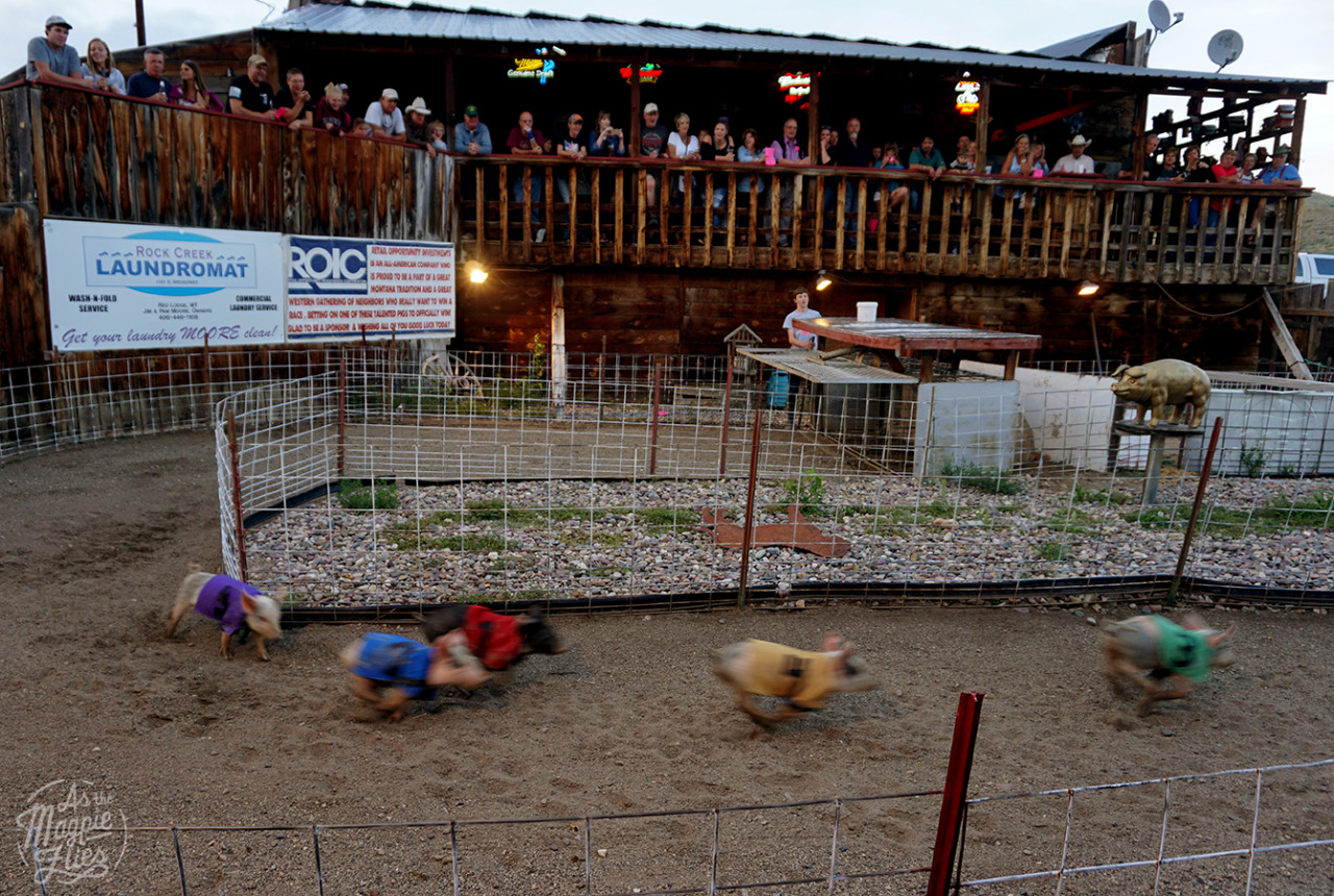 Bear Creek Saloon & Steakhouse, Bearcreek, MT