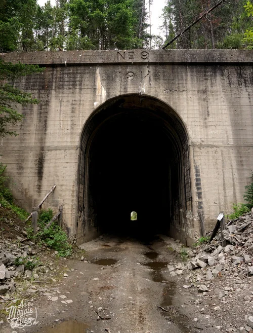 The majestic tunnel I met along one of the frontage roads, outside Butte, MT