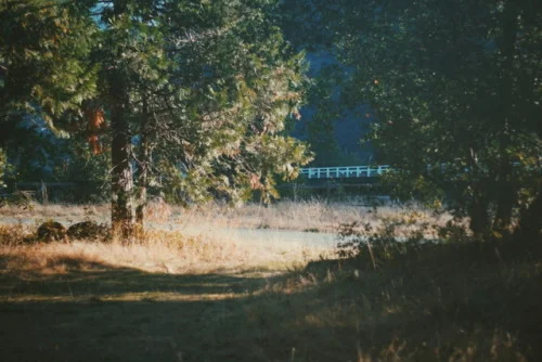 tumblr_p0h5rmAygl1sts3keo1_500.jpg