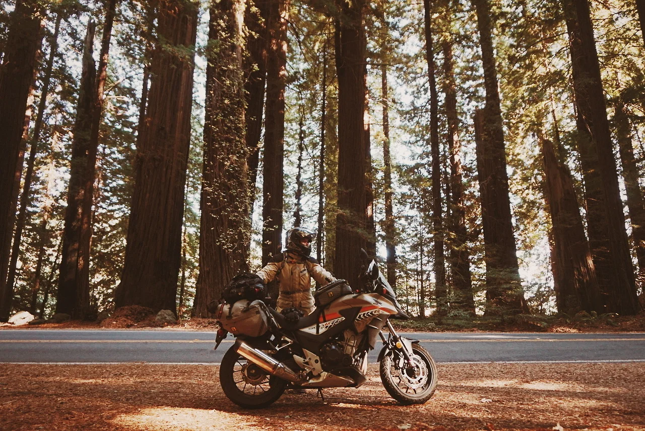  "...then I rode between Giants and last but not least I was saved from the road by the magical Chelsea in Sacramento, CA. " 