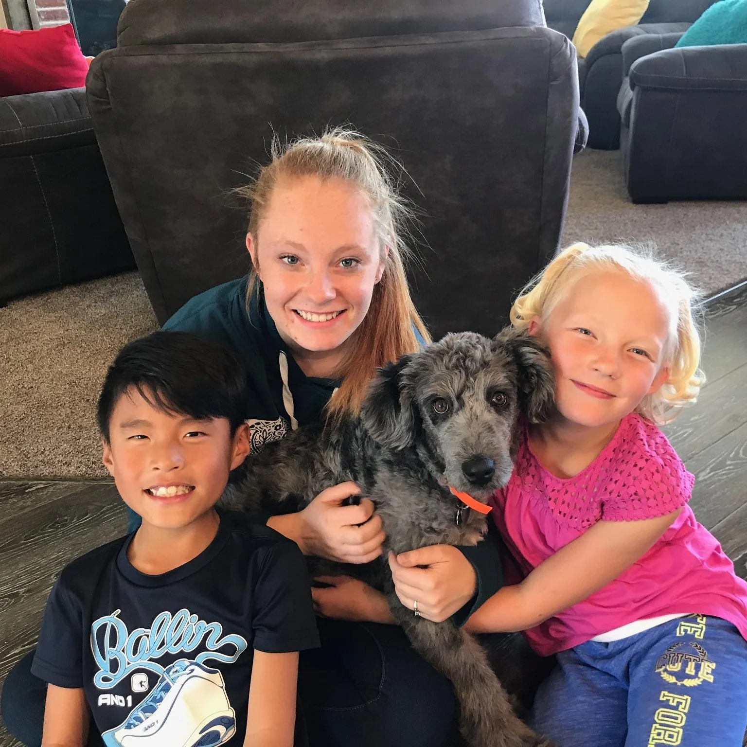 Aussiedoodle Puppy Training | Bakers Acres K9 Academy
