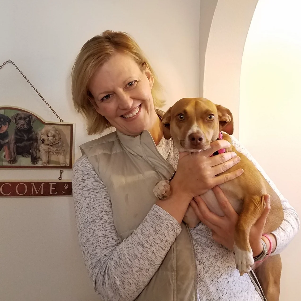 Training for Small Dog | Bakers Acres K9 Academy