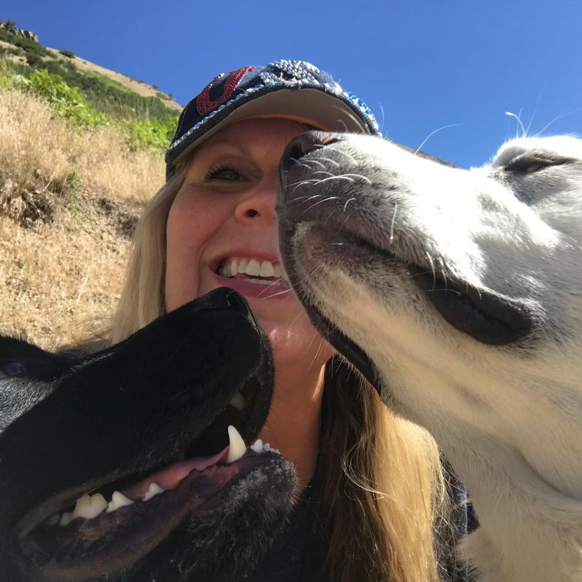Large Breed Dog Training | Bakers Acres K9 Academy