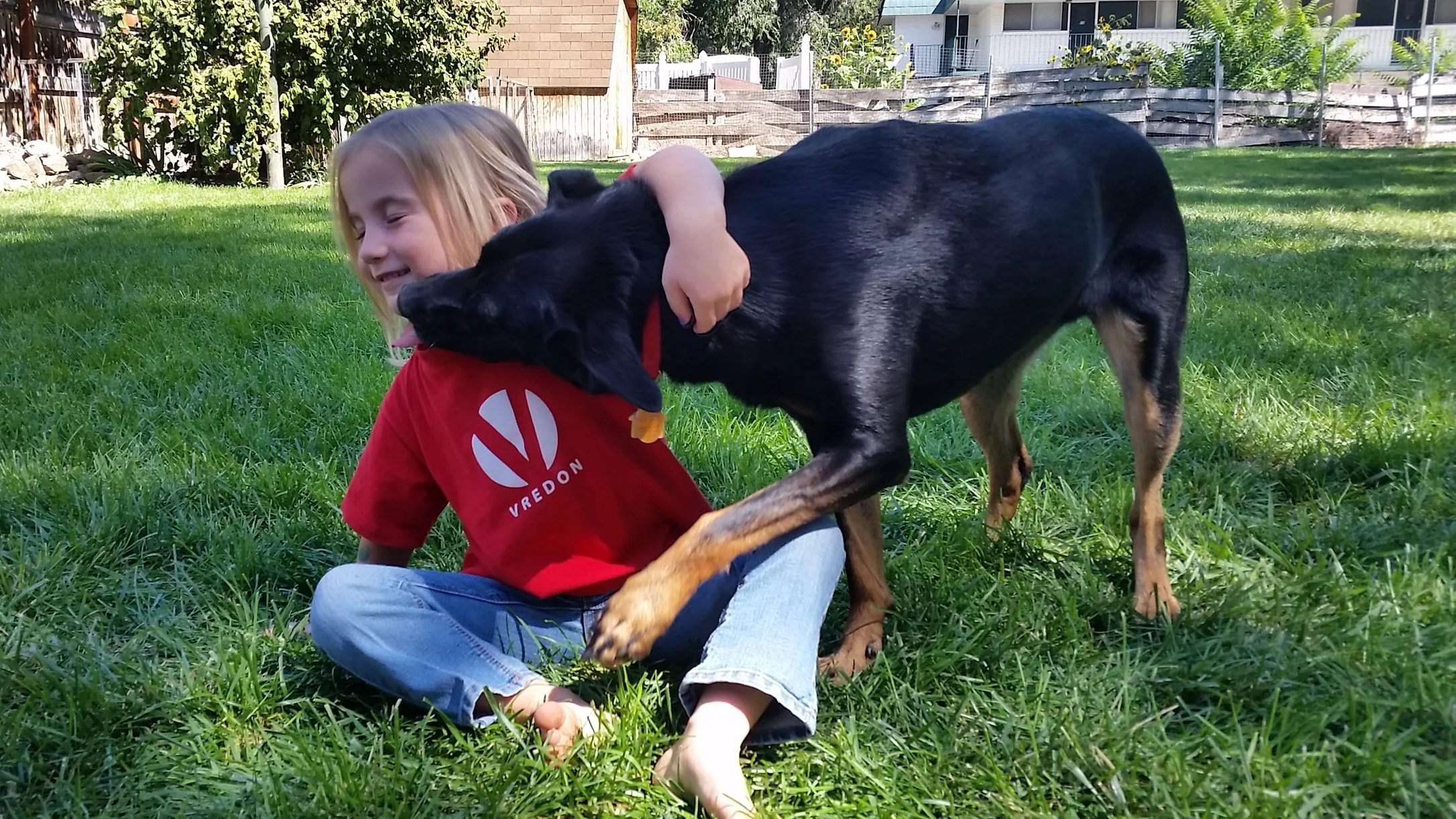 Teaching kids to resect dogs and dogs to respect kids