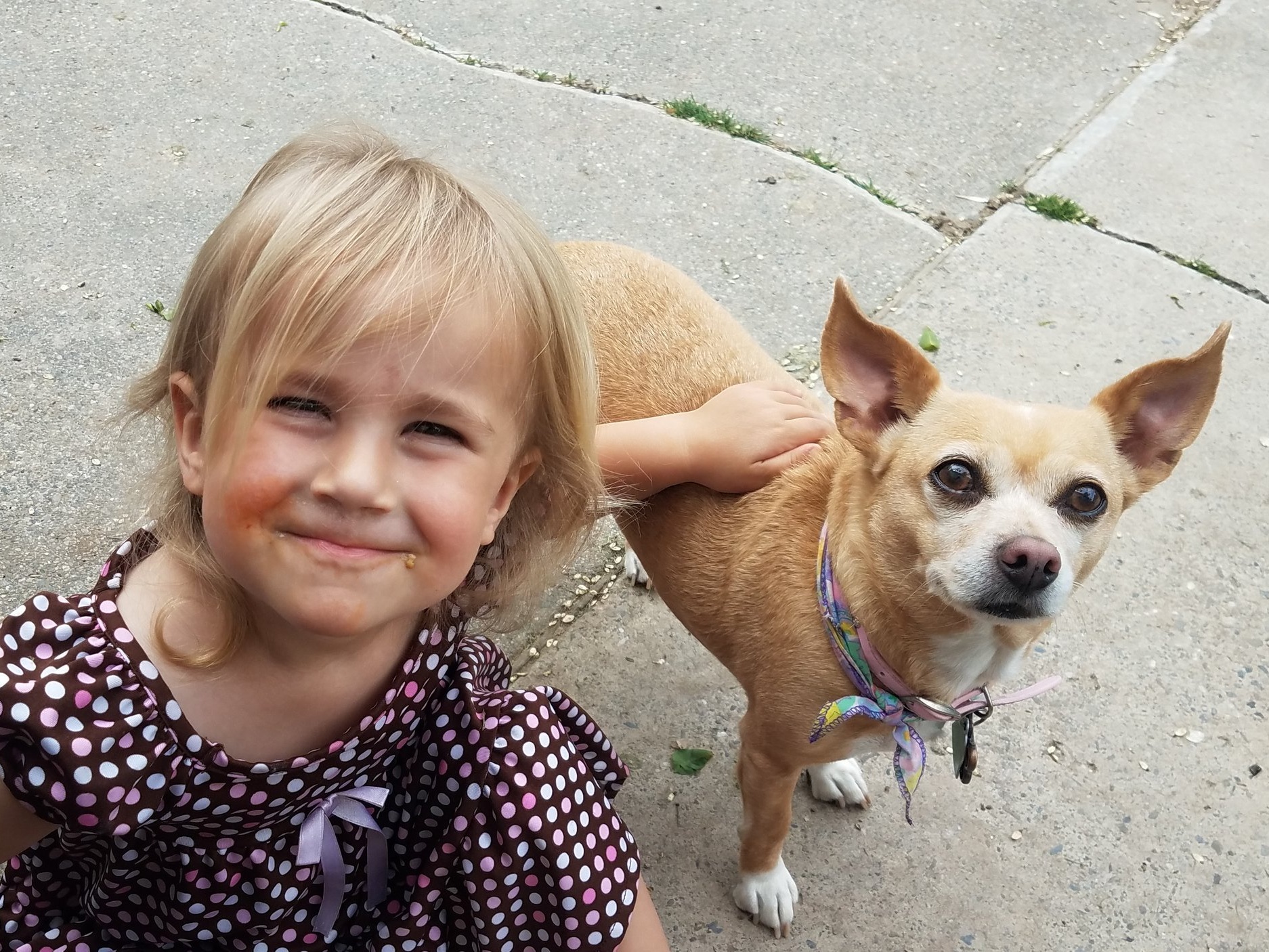 Kids & Dogs | Part 1: Isolation