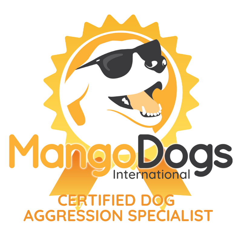 Certified Dog Aggression Specialist | Mango Dogs