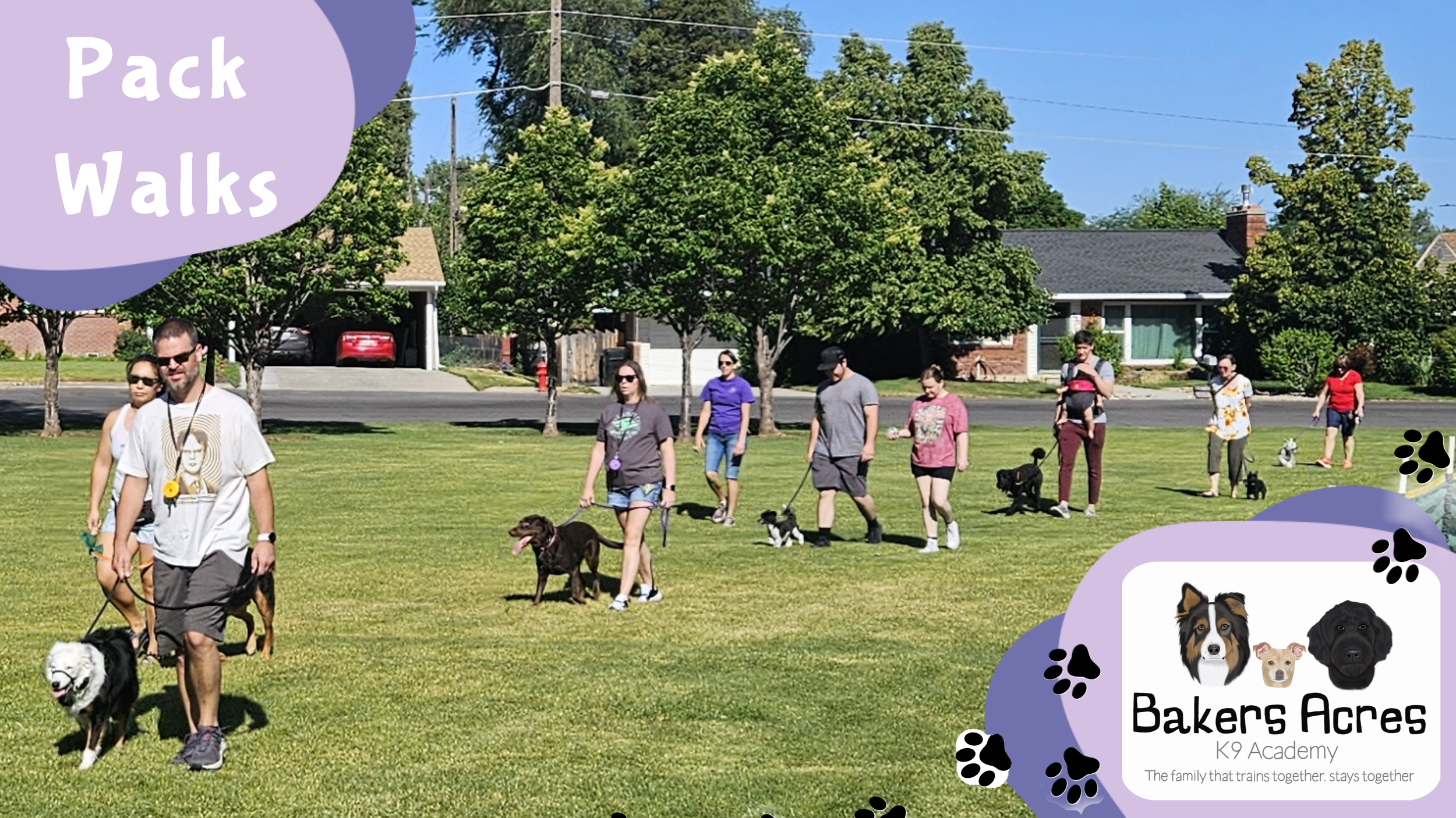 Pack Walk &amp; Group Socialization Class