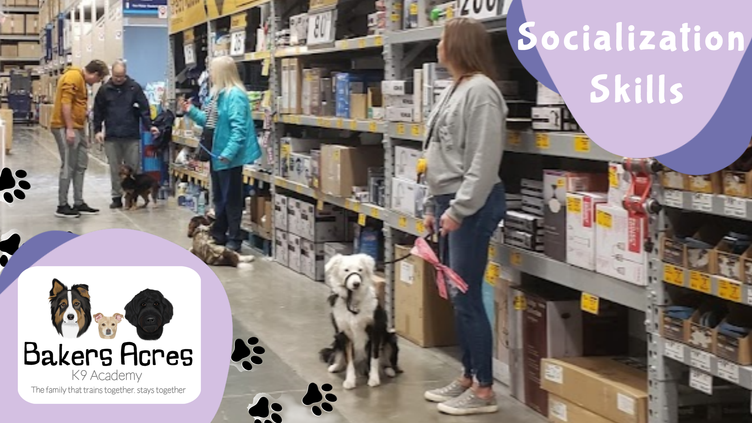 Dog Behavior &amp; Manners Group Class