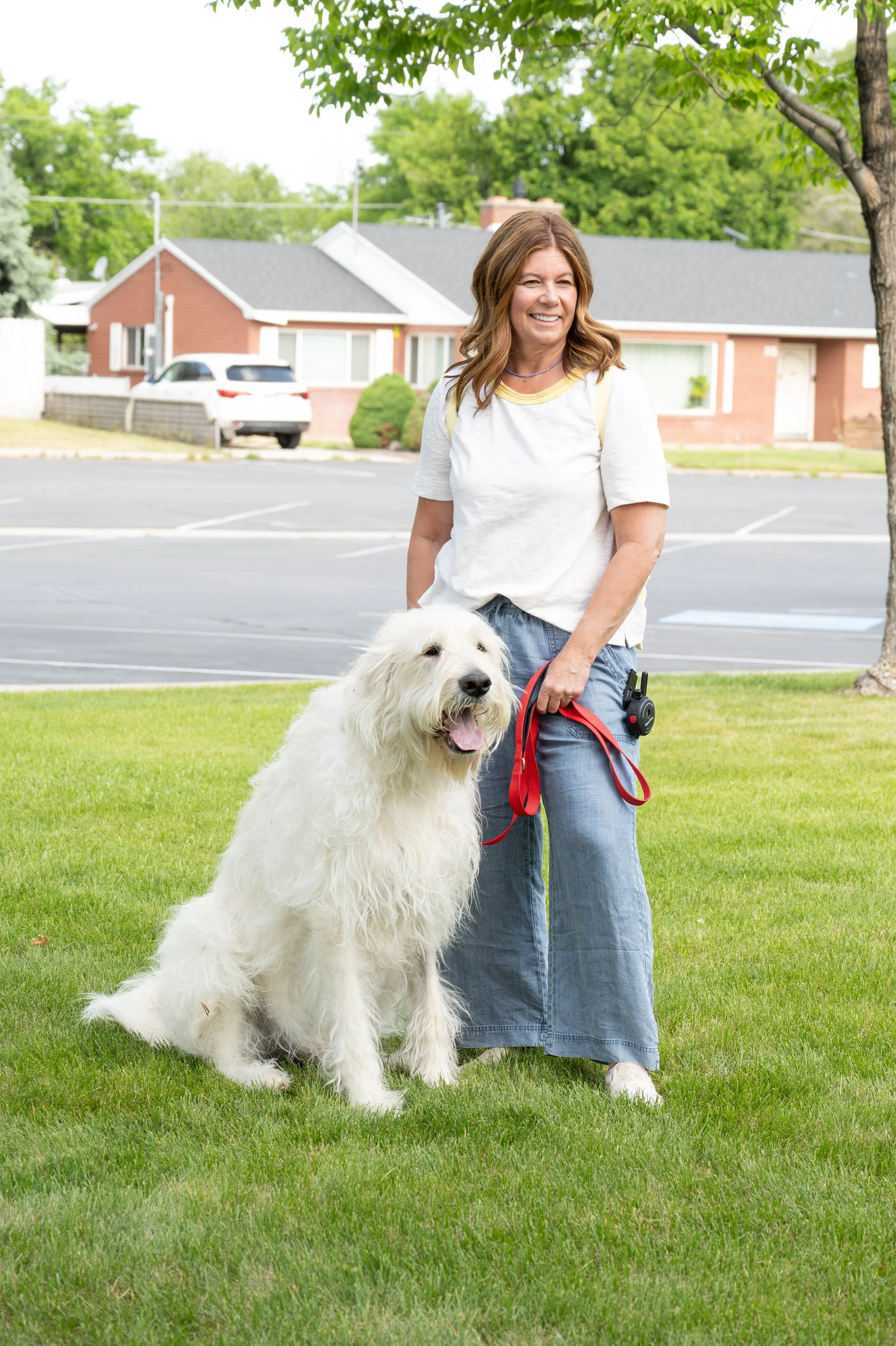Great Pyrenees Golden Doodle sitting next to his owner in Springville Utah at a dog training class