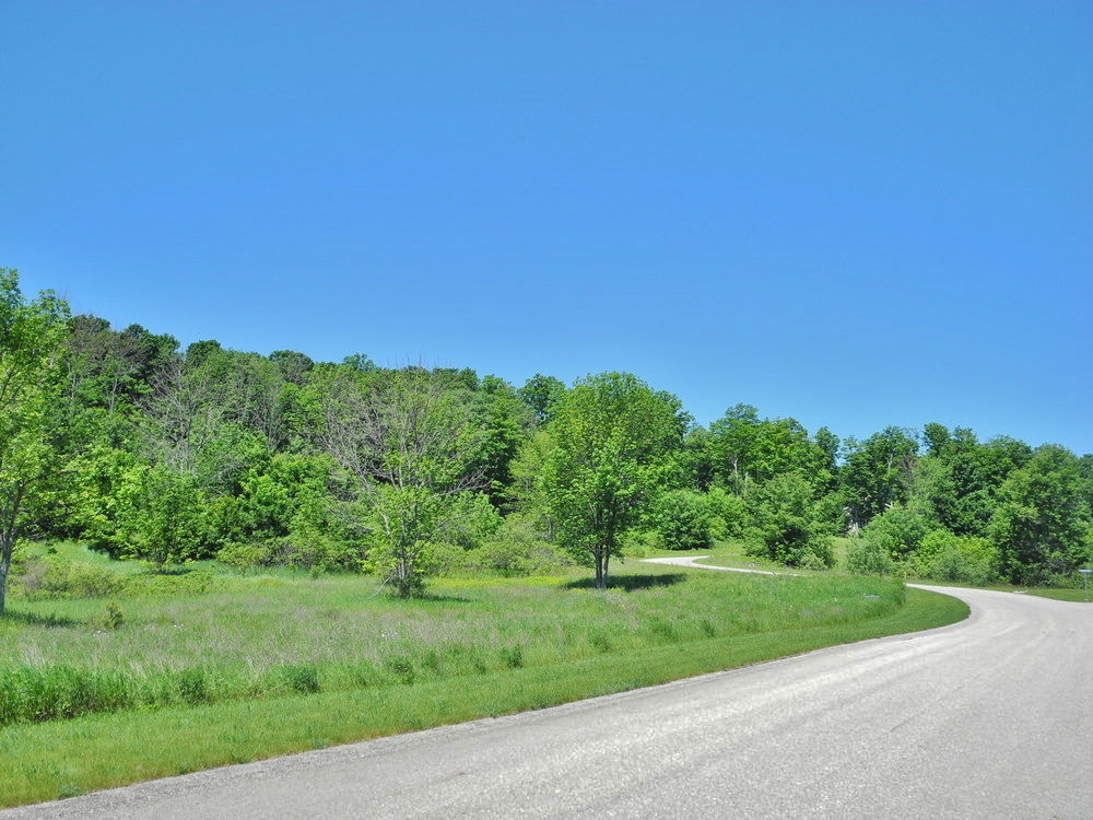 11638 E Belanger Woods Drive, Suttons Bay, MI, Leelanau County vacant land with water views of Grand traverse Bay, for sale by Oltersdorf Realty LLC, Leelanau County Realtors Vicky & Jonathan Oltersdorf (3).JPG