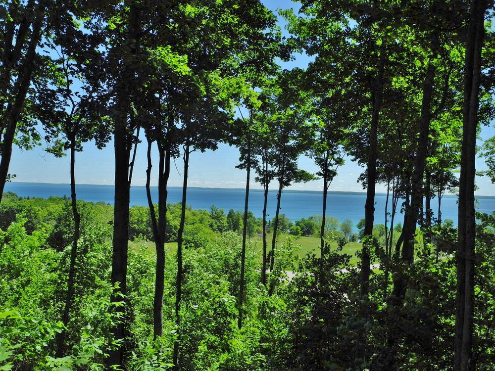 11638 E Belanger Woods Drive, Suttons Bay, MI, Leelanau County vacant land with water views of Grand traverse Bay, for sale by Oltersdorf Realty LLC, Leelanau County Realtors Vicky & Jonathan Oltersdorf (2).JPG