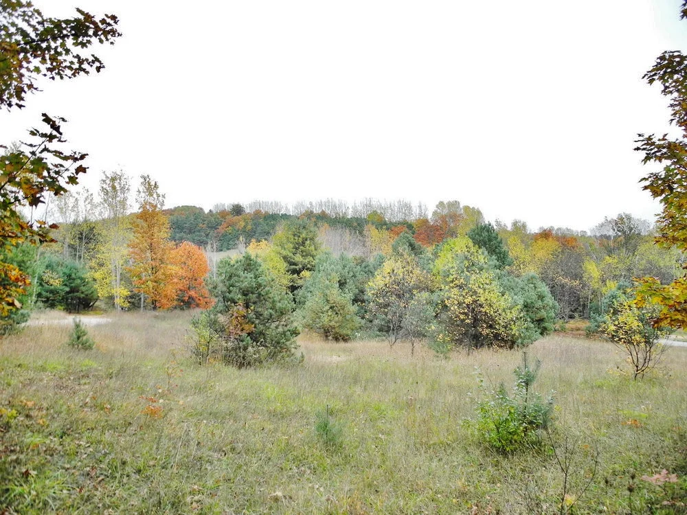 8350 E Horn Road, Lake Leelanau SOLD — Oltersdorf Realty Leelanau