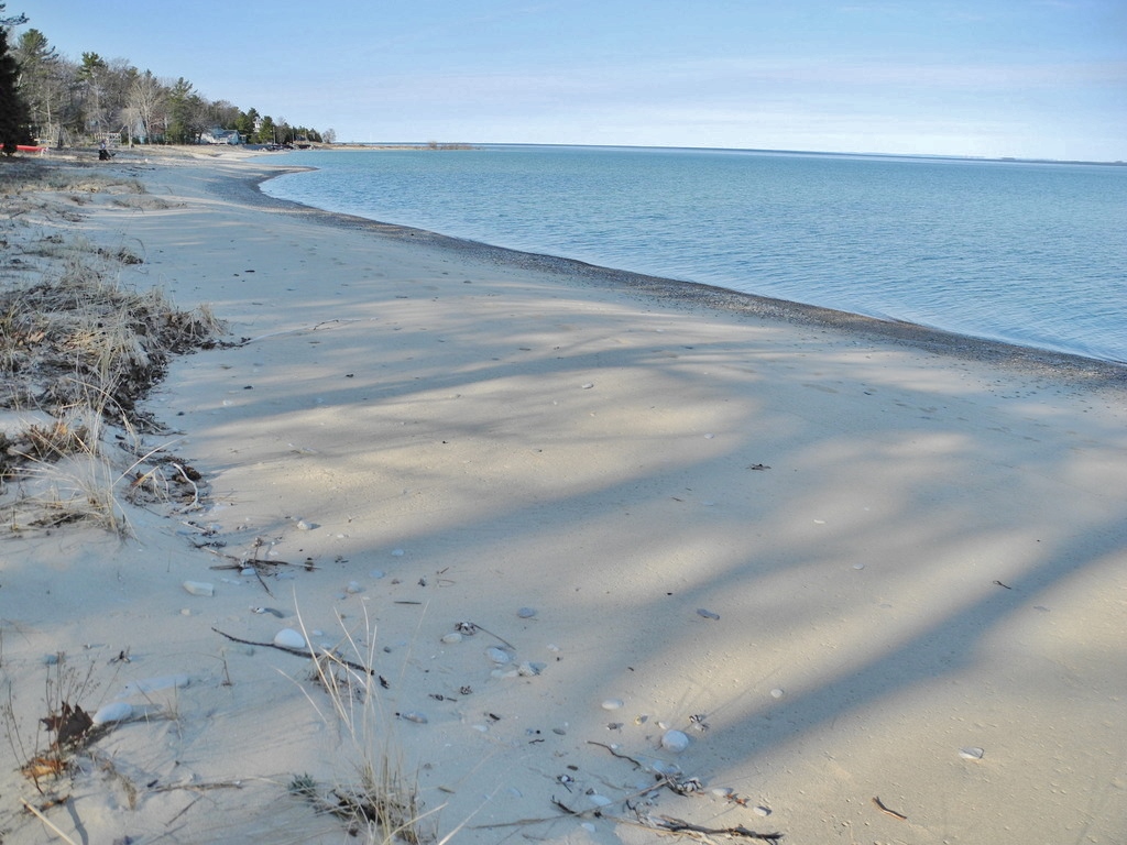 Lot 1 N Forest Beach Shores, Northport SOLD — Oltersdorf Realty