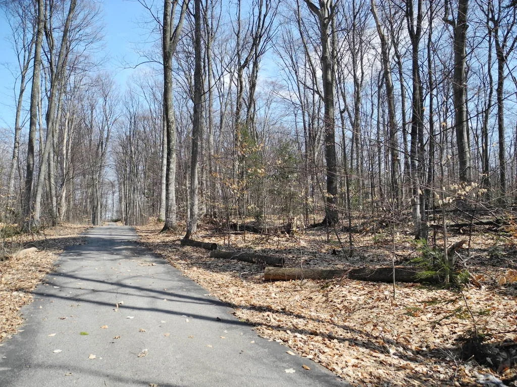 10 Acres S Schomberg Road, Lake Leelanau SOLD — Oltersdorf Realty