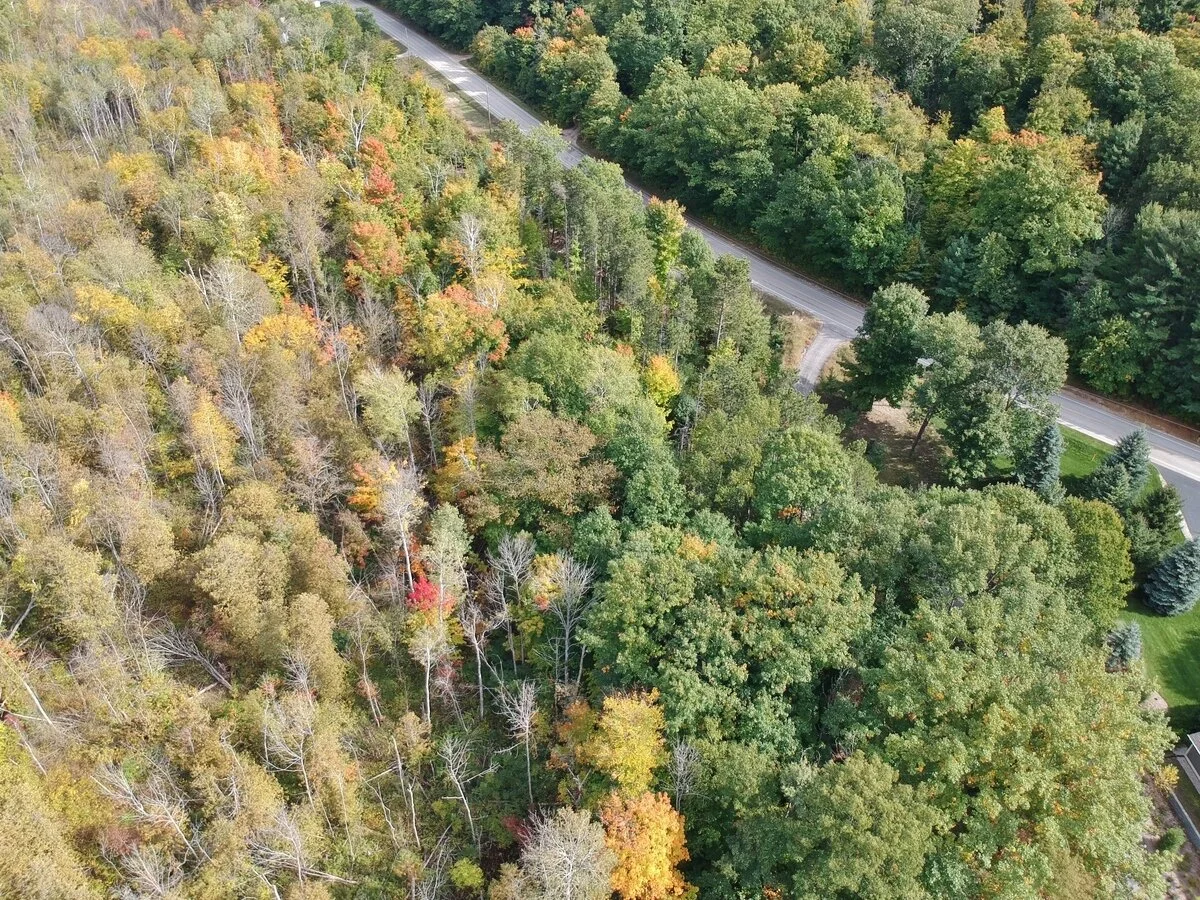 S Lakeview Road waterfront vacant lot on South Lake Leelanau - For Sale by Oltersdorf Realty, Vicky and Jonathan Oltersdorf (14).JPG