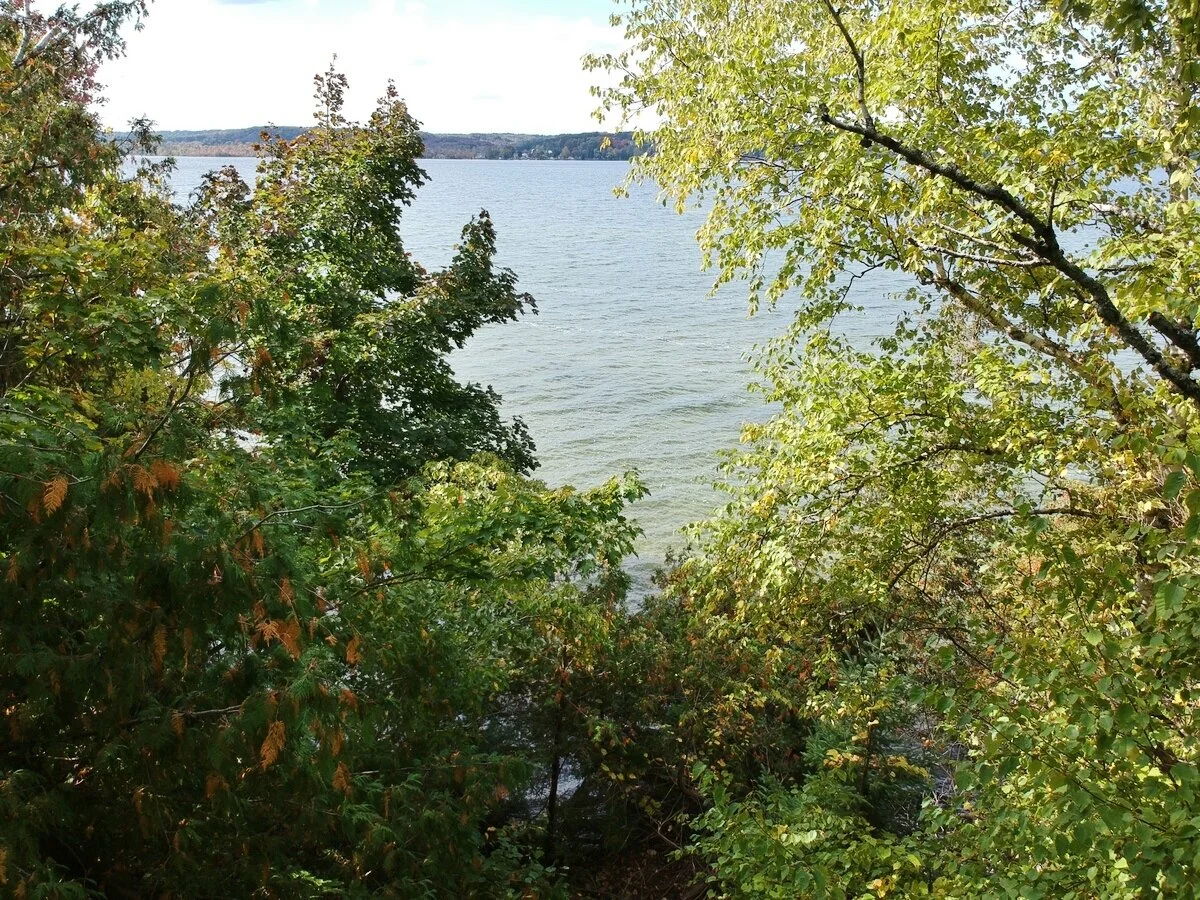 S Lakeview Road waterfront vacant lot on South Lake Leelanau - For Sale by Oltersdorf Realty, Vicky and Jonathan Oltersdorf (16).JPG