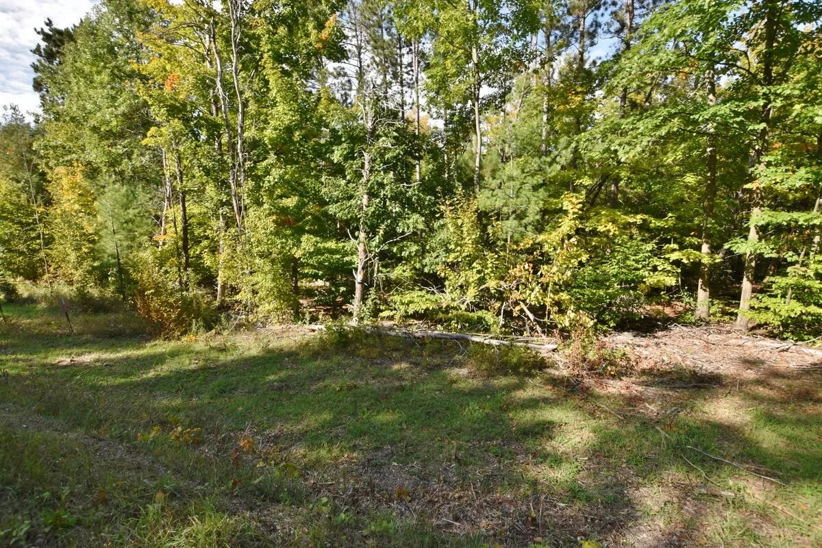 S Lakeview Road waterfront vacant lot on South Lake Leelanau - For Sale by Oltersdorf Realty, Vicky and Jonathan Oltersdorf (25).JPG